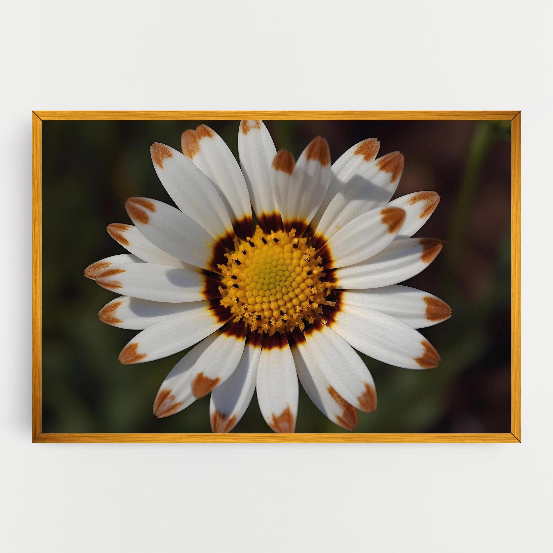 White Brown Daisy mockup 0