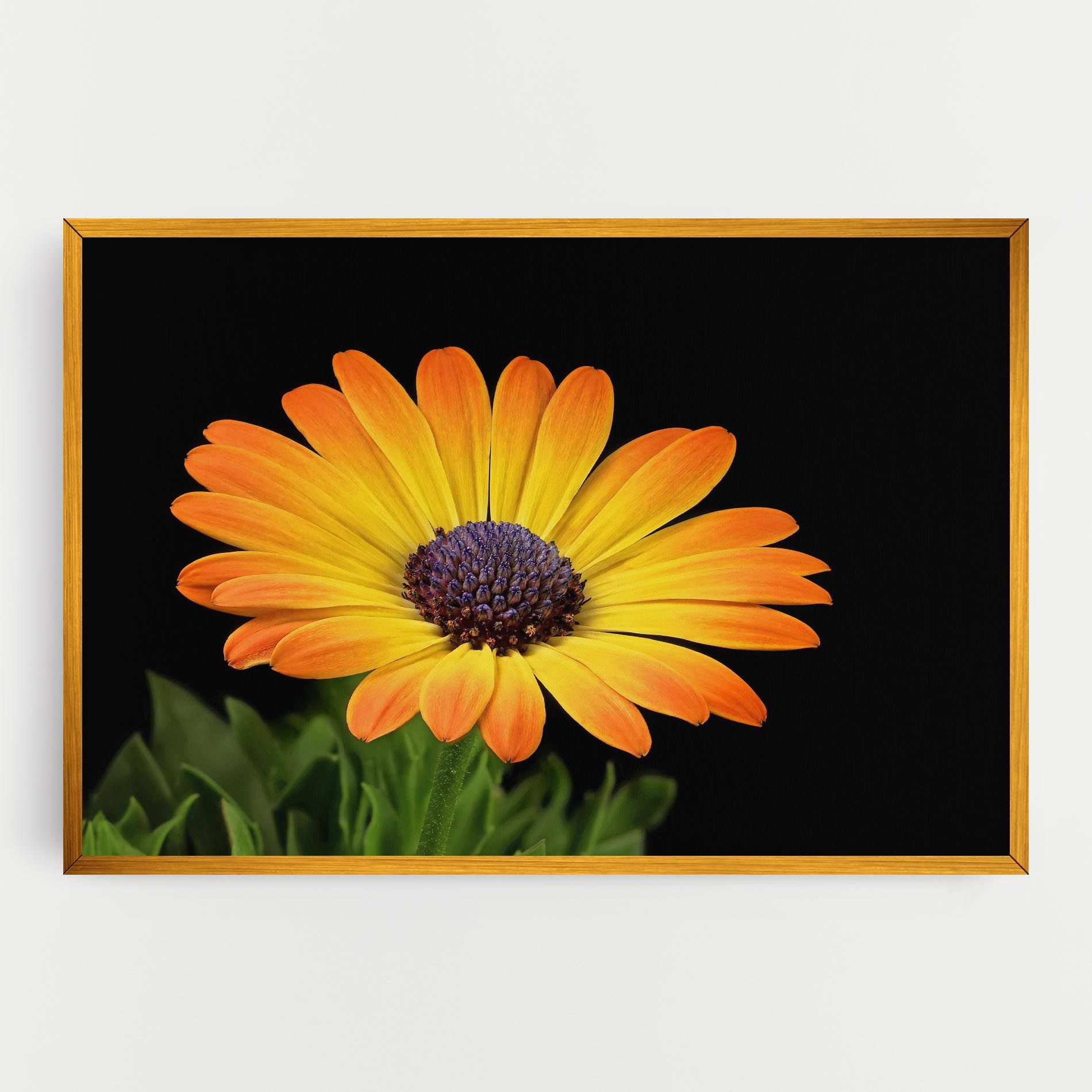 Yellow Daisy mockup 0