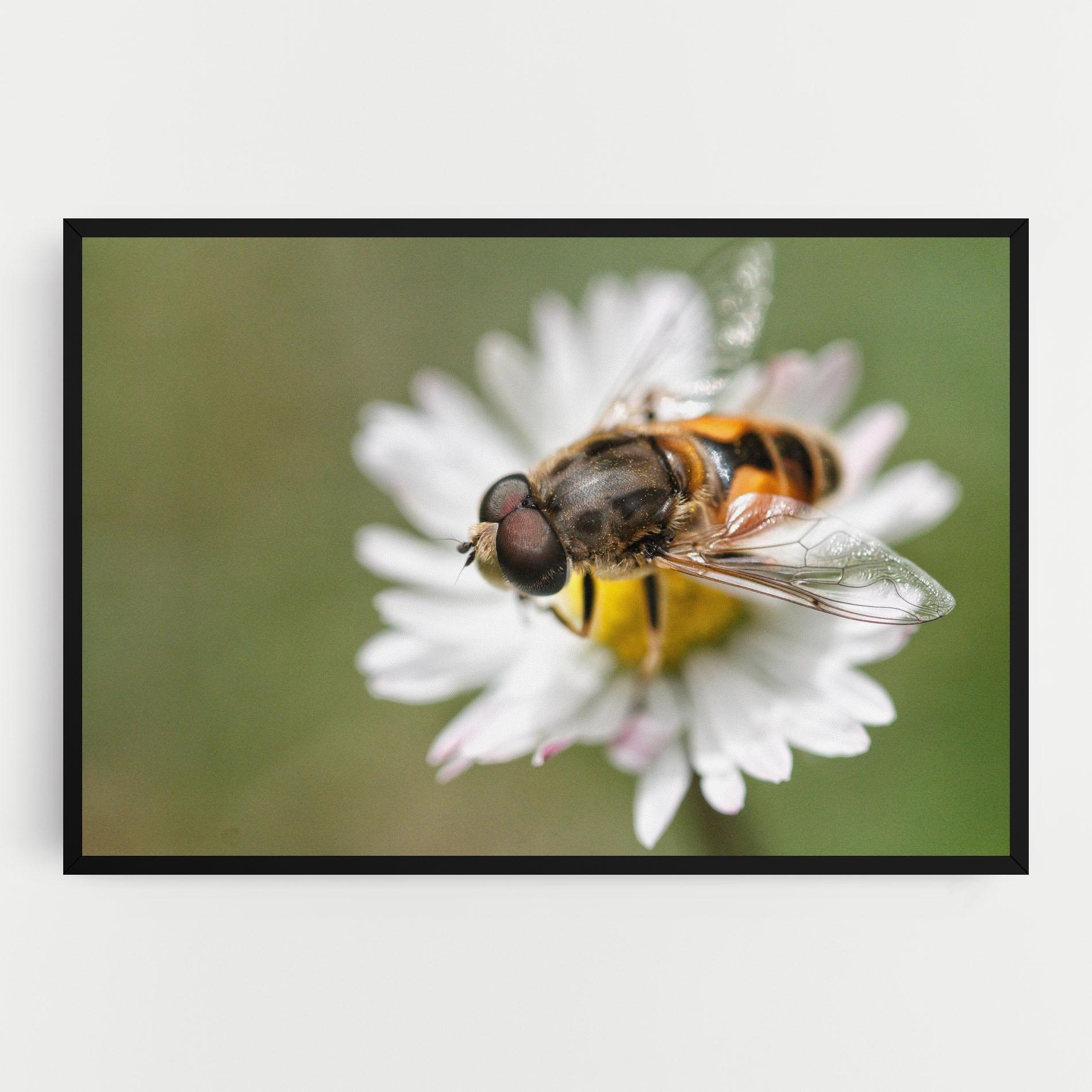 Tablou Canvas Bee On Small Daisy mockup 0