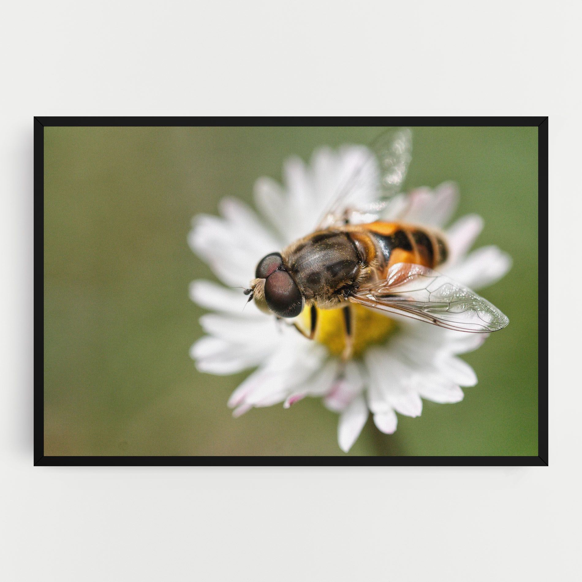 Bee On Small Daisy mockup 0