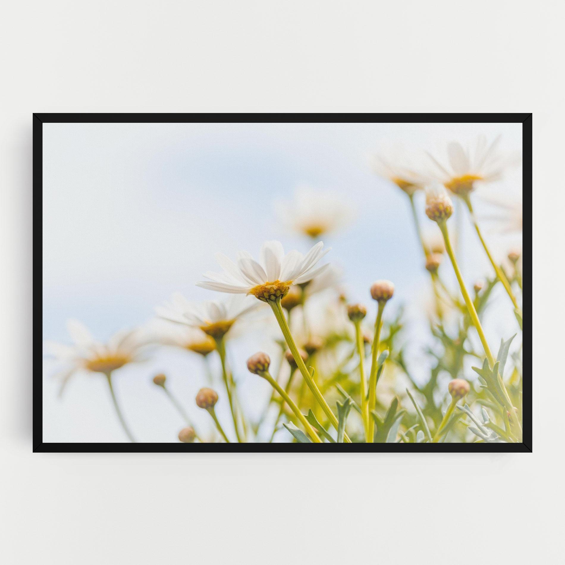 Tablou Canvas Dreamy Daisy mockup 0