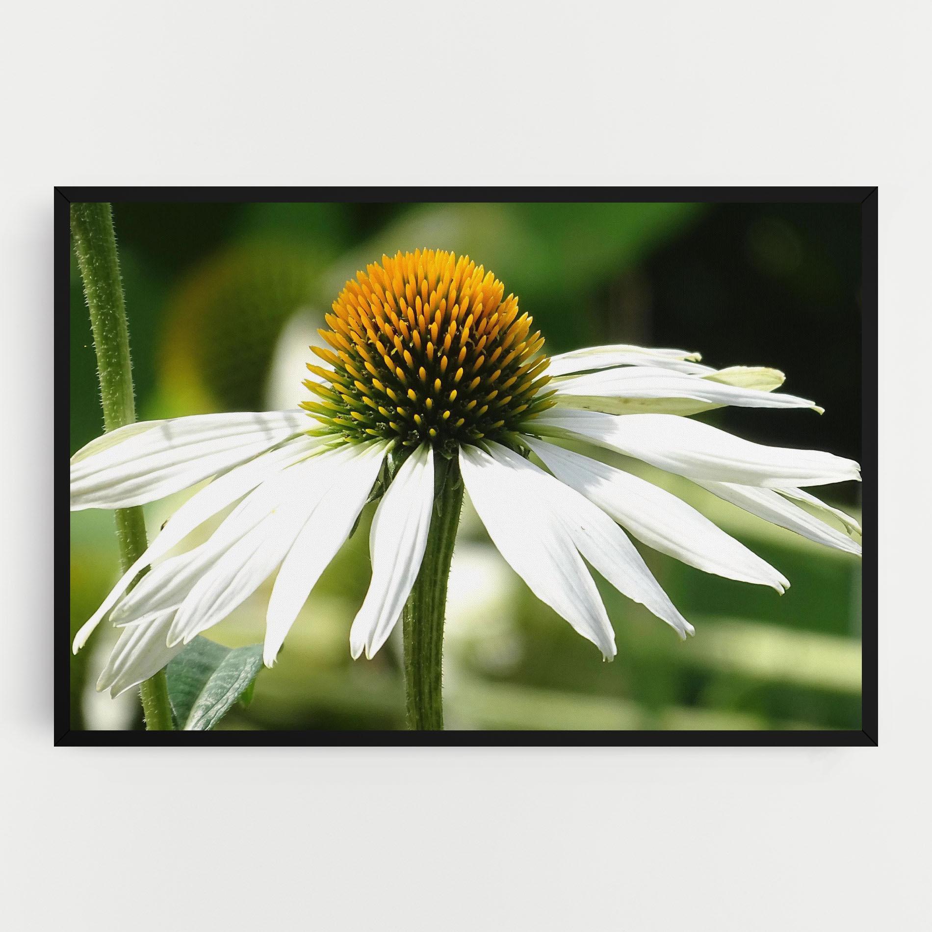 Tablou Canvas Green Daisy mockup 0