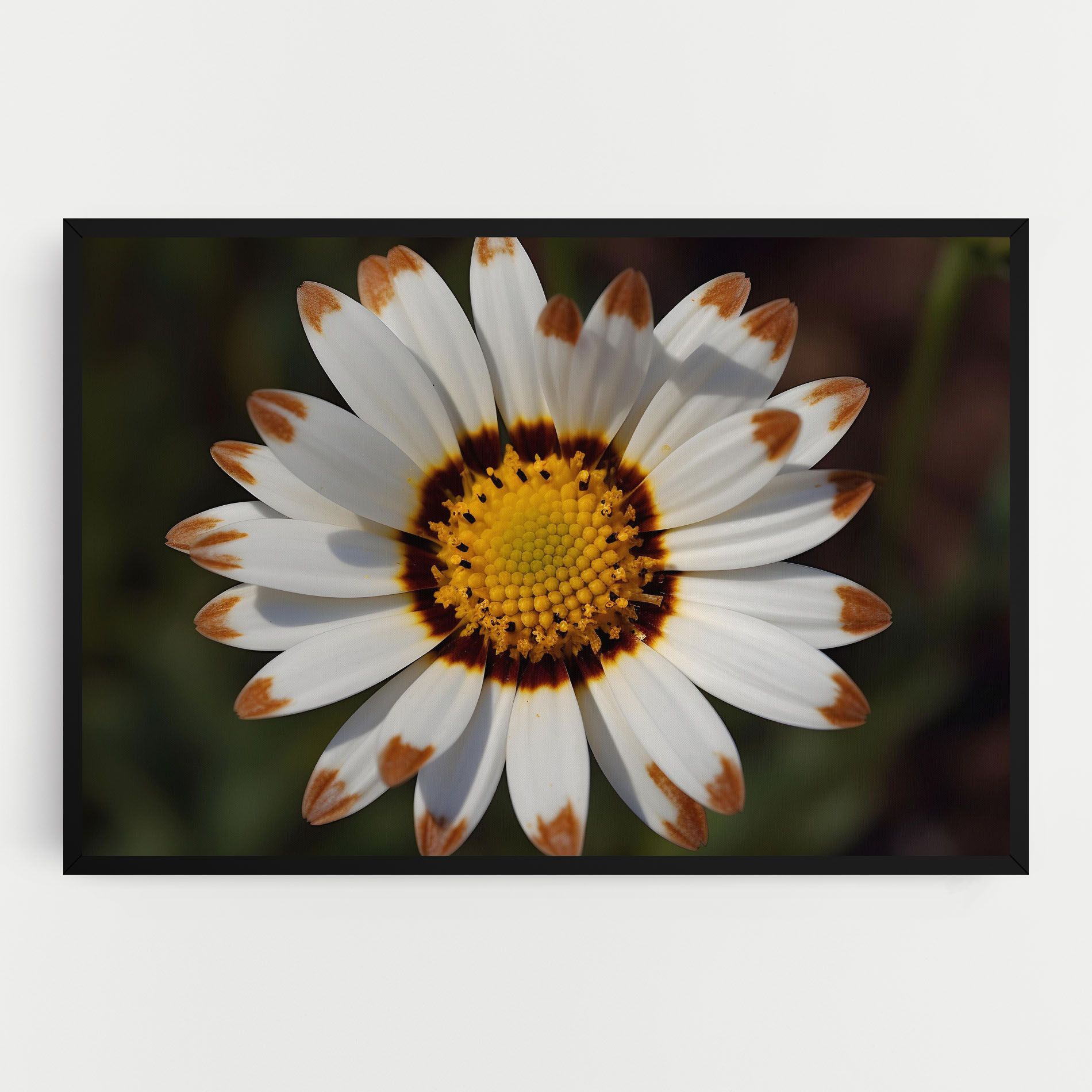 White Brown Daisy mockup 0
