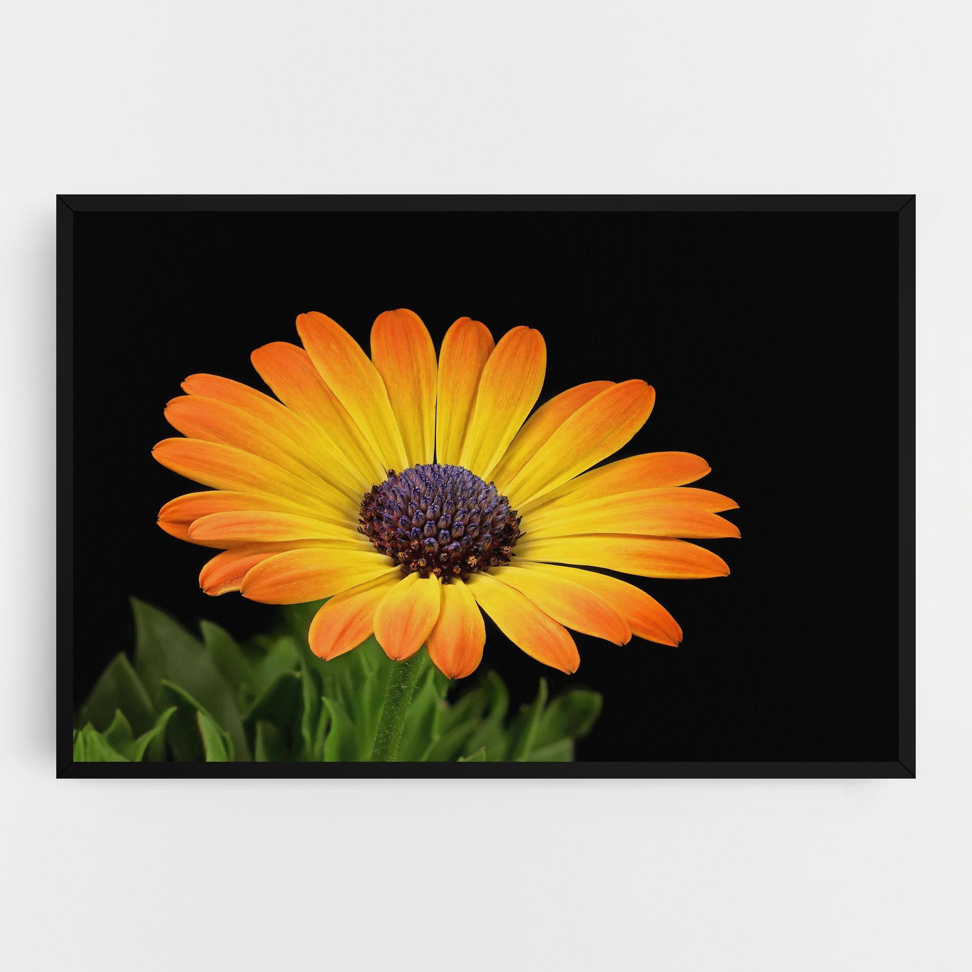 Tablou Canvas Yellow Daisy mockup 0