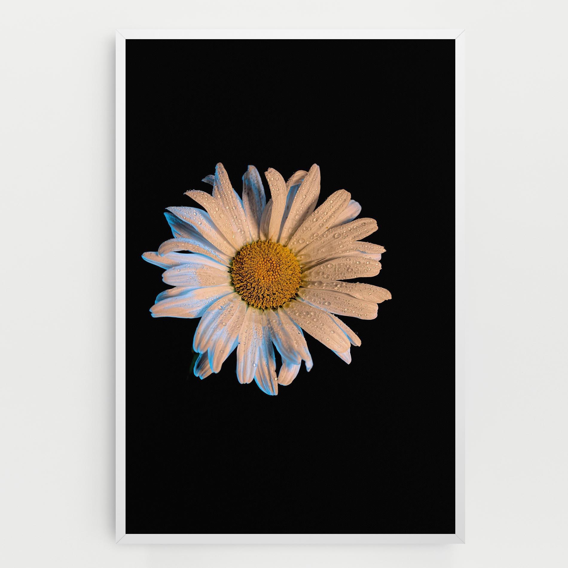 Tablou Canvas Daisy mockup 0