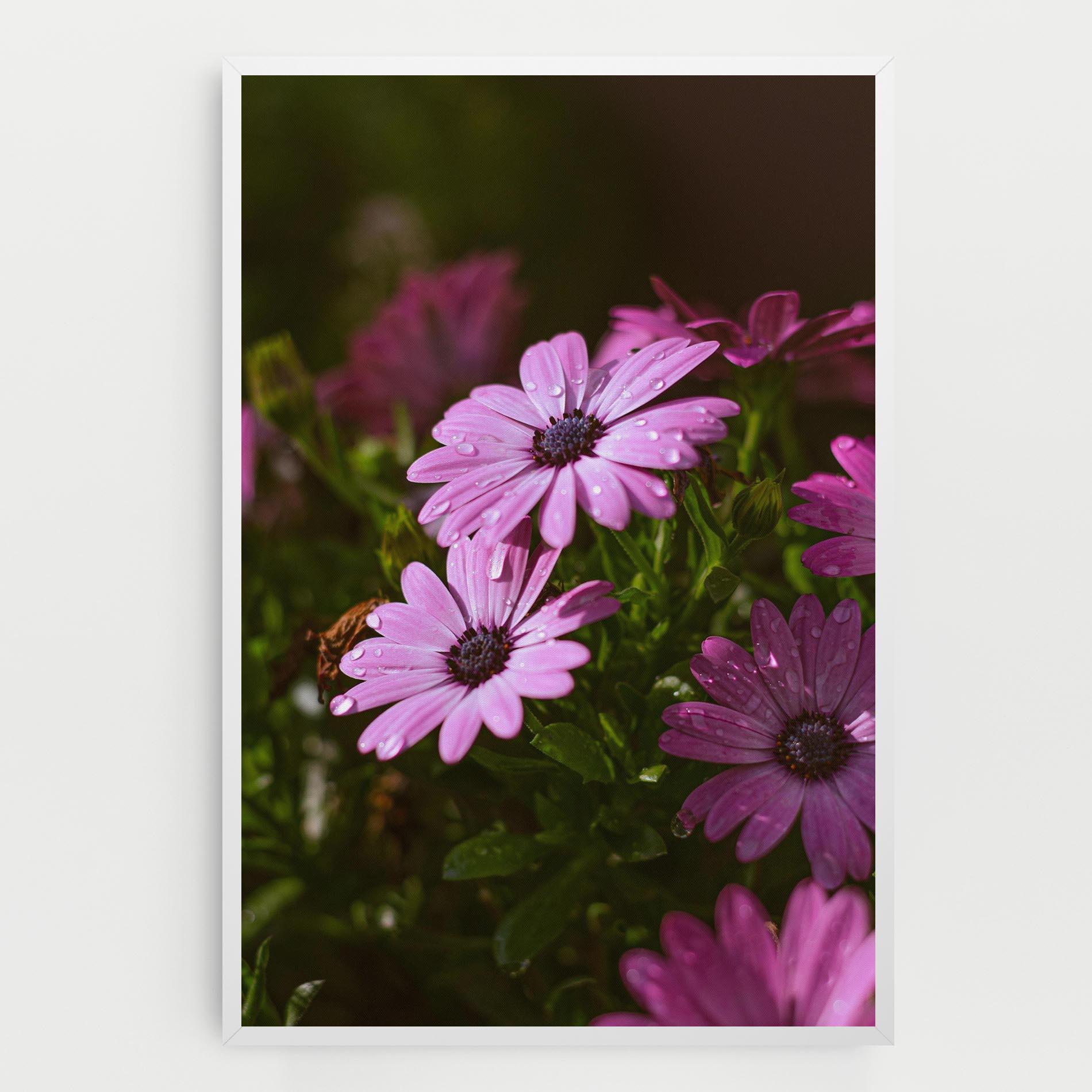 Tablou Canvas Purple Daisy mockup 0