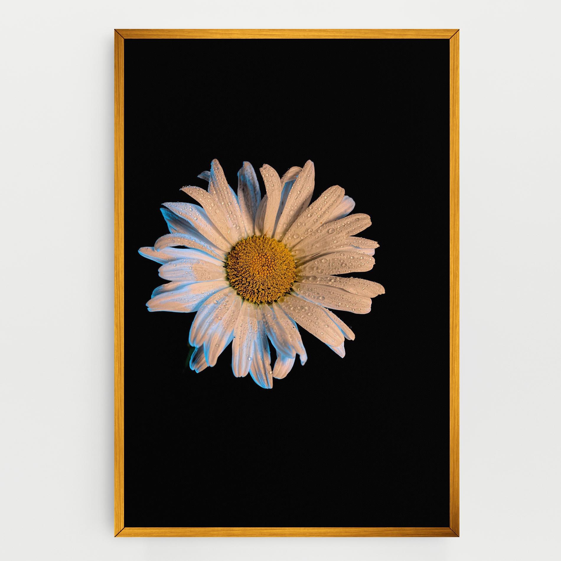 Tablou Canvas Daisy mockup 0