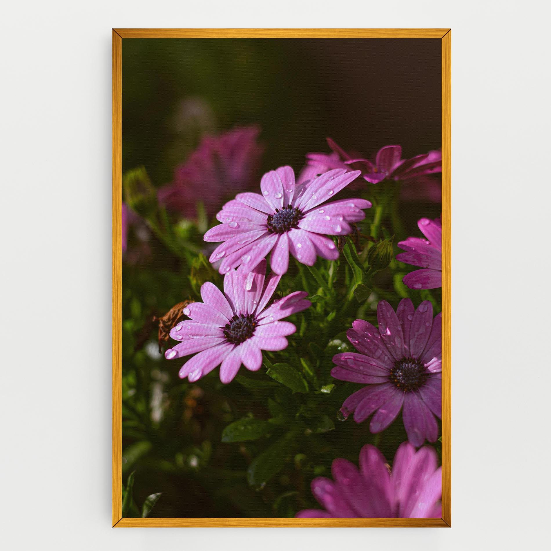 Tablou Canvas Purple Daisy mockup 0