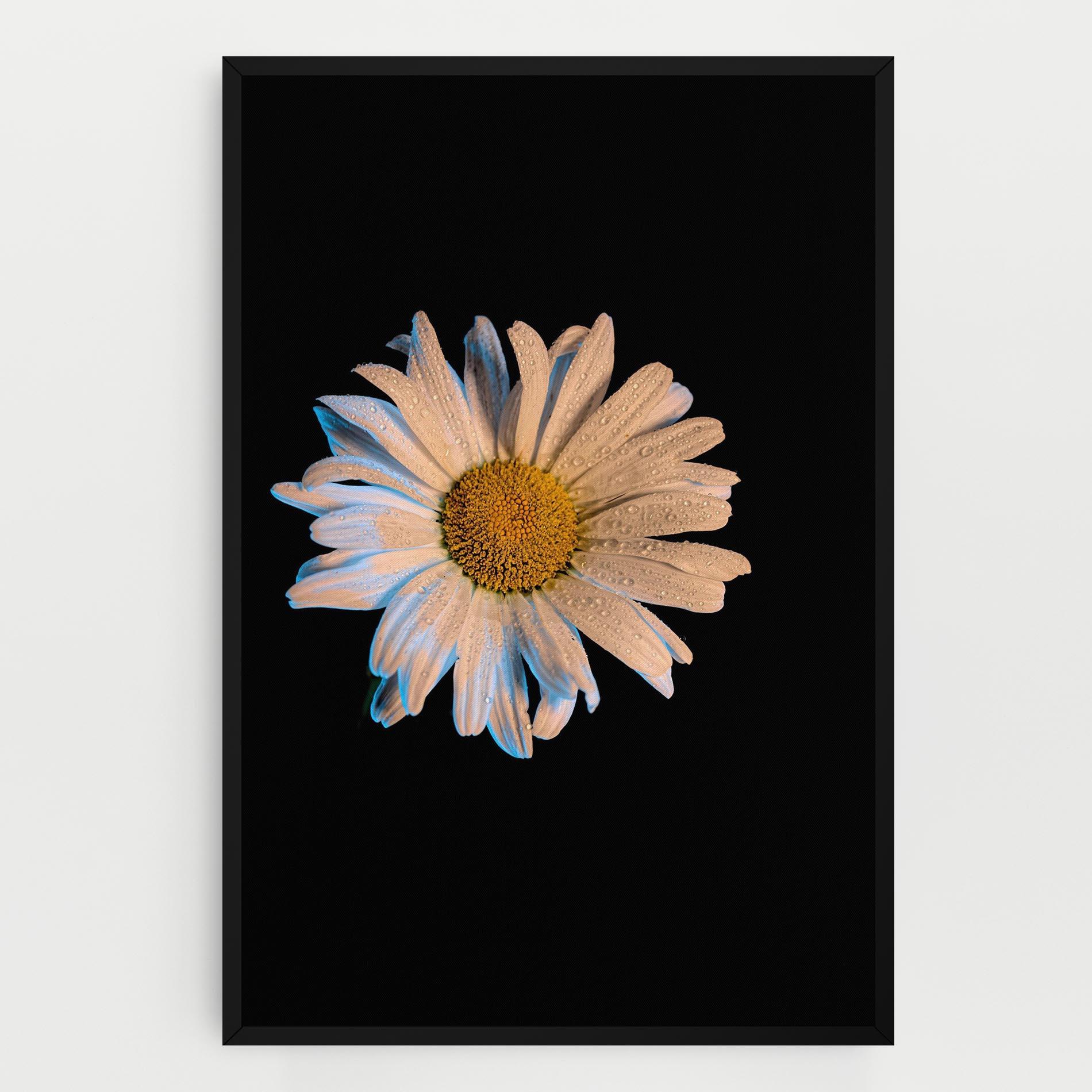 Tablou Canvas Daisy mockup 0