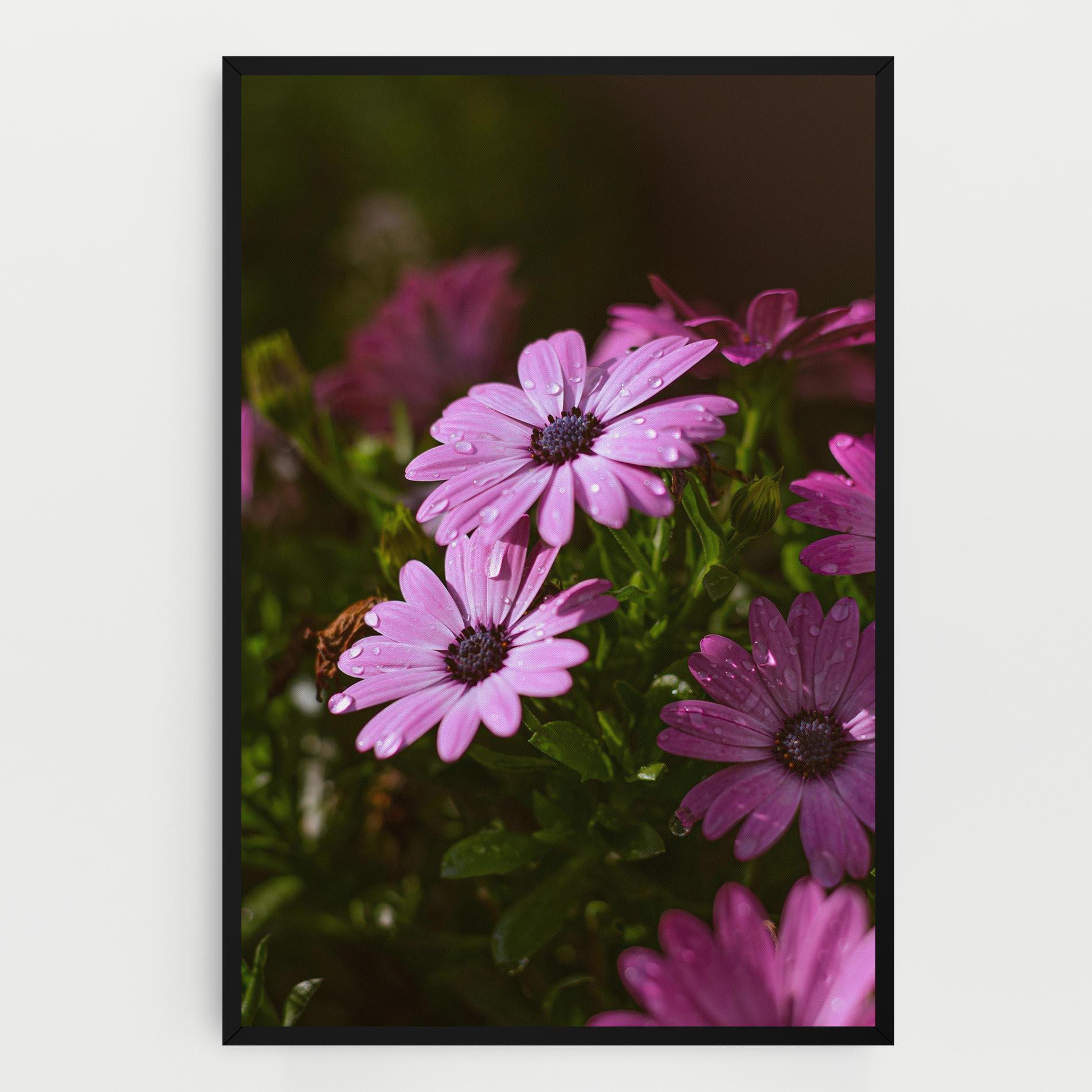 Tablou Canvas Purple Daisy mockup 0