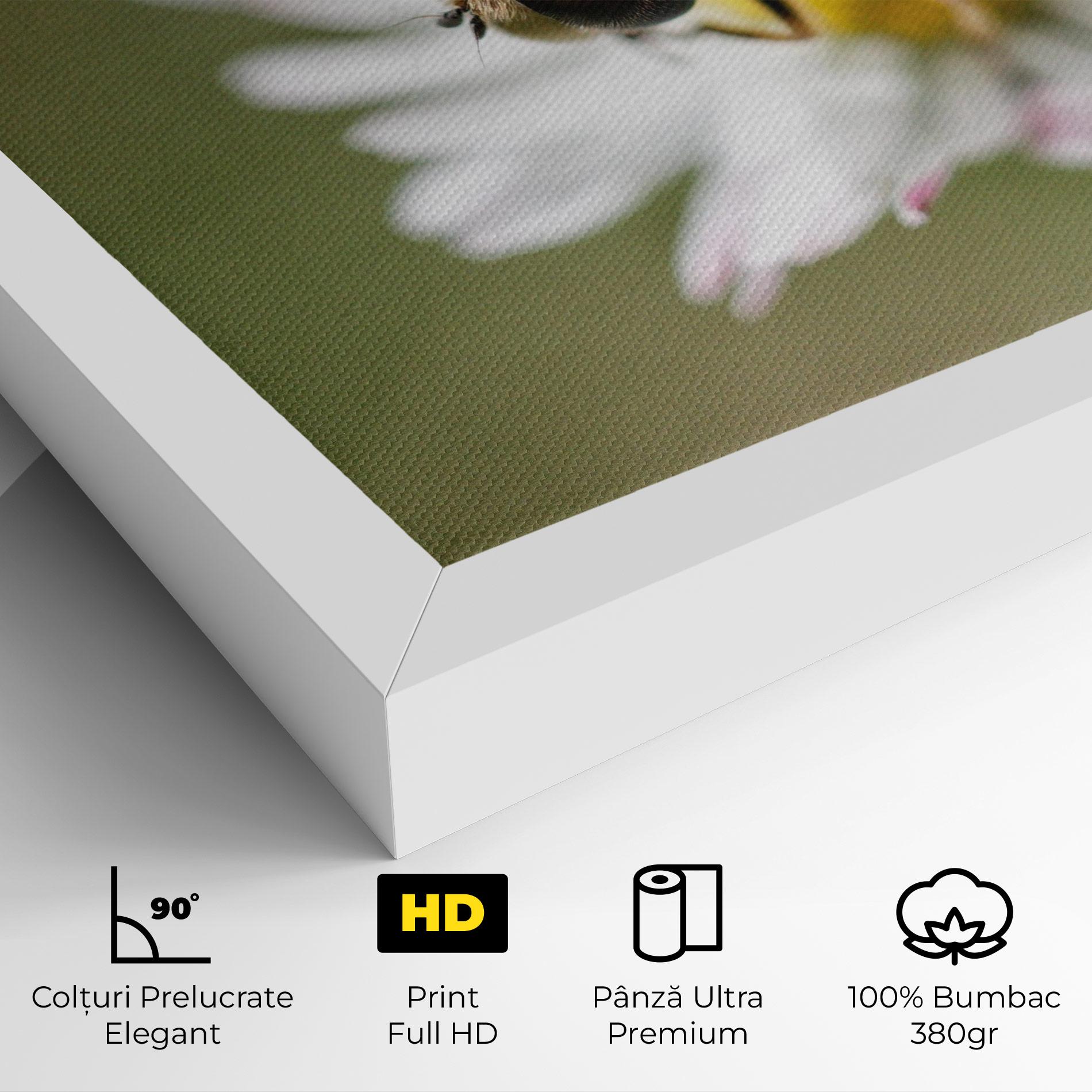 Tablou Canvas Bee On Small Daisy mockup 4