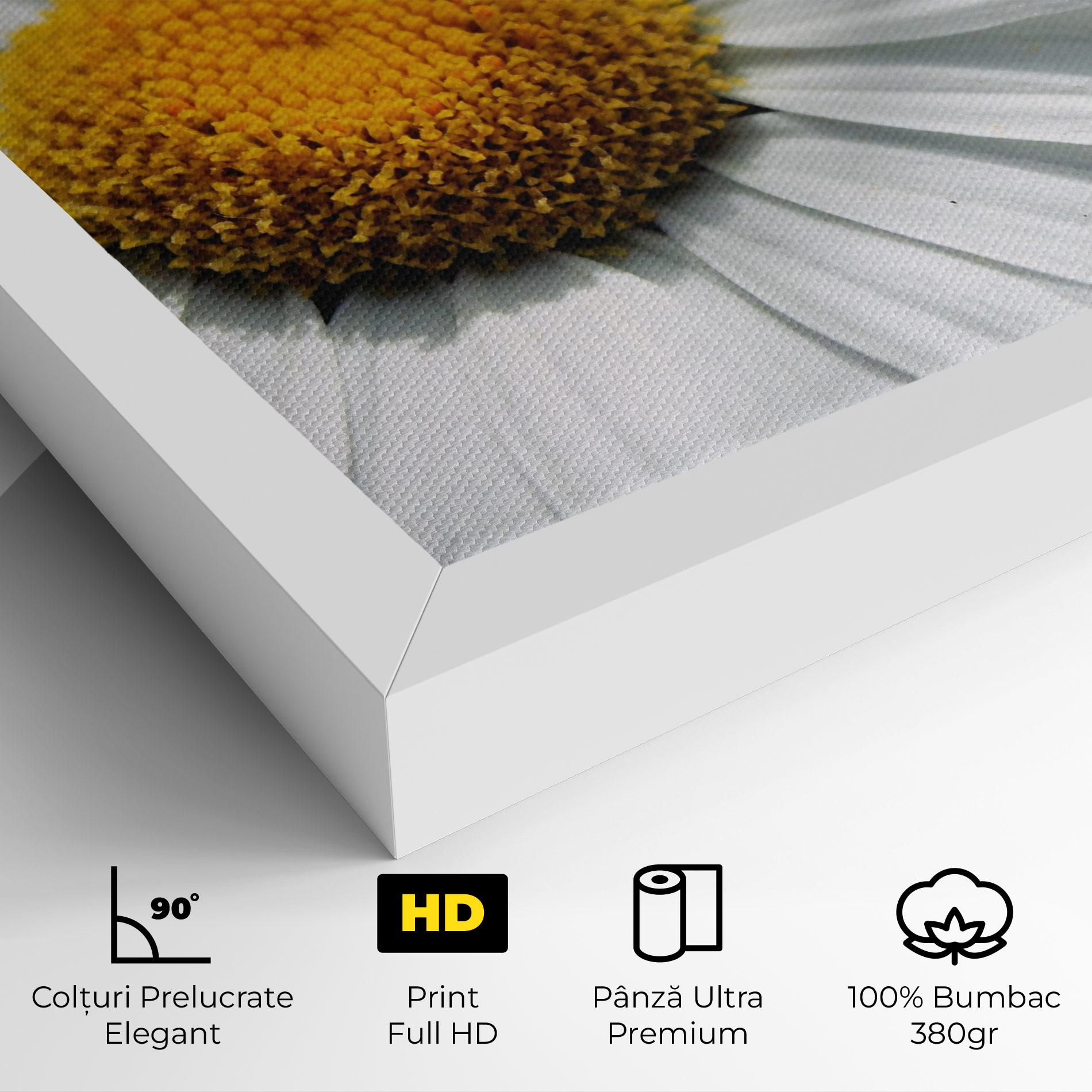 Tablou Canvas Big Daisies mockup 4