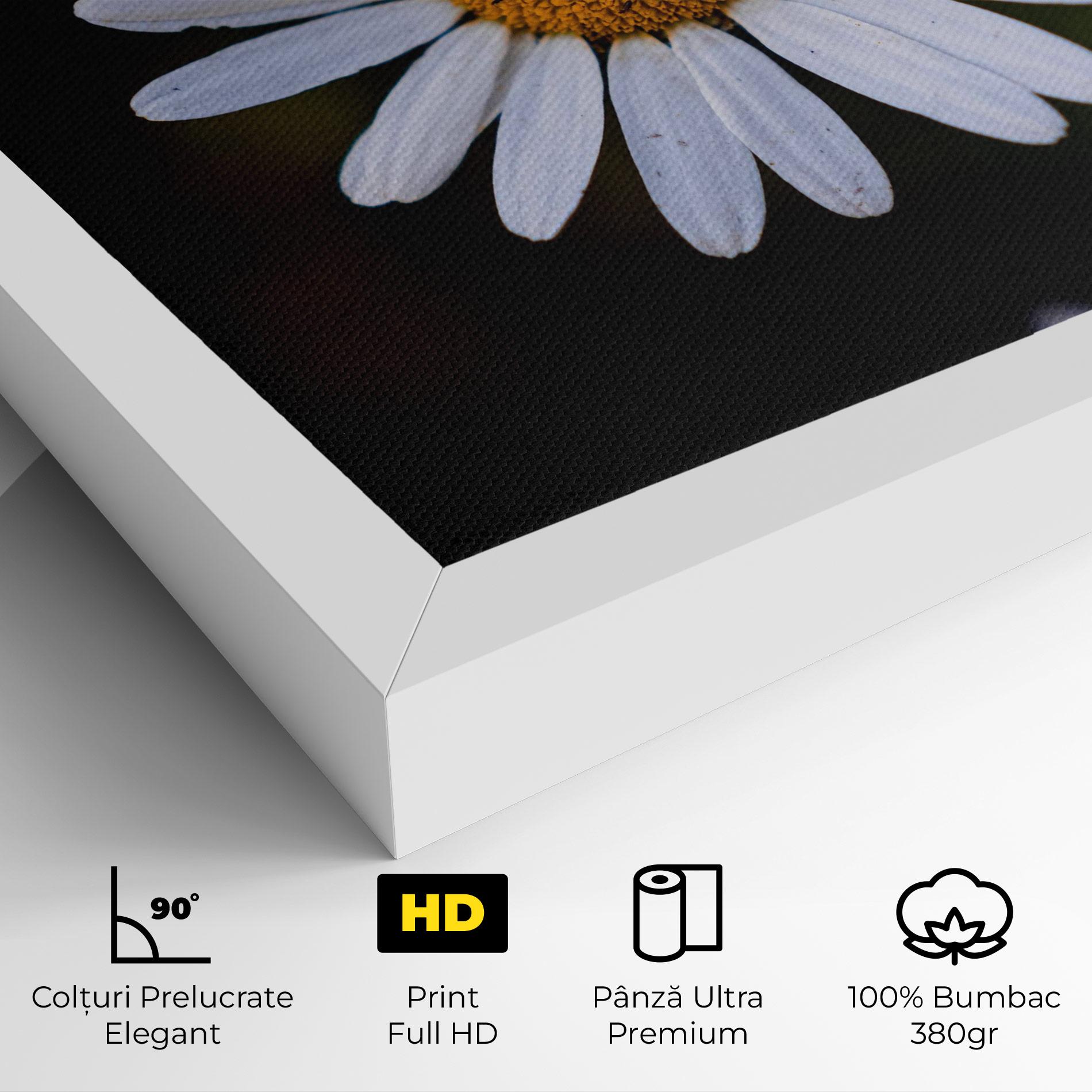 Tablou Canvas Big Yellow Center Daisy mockup 4
