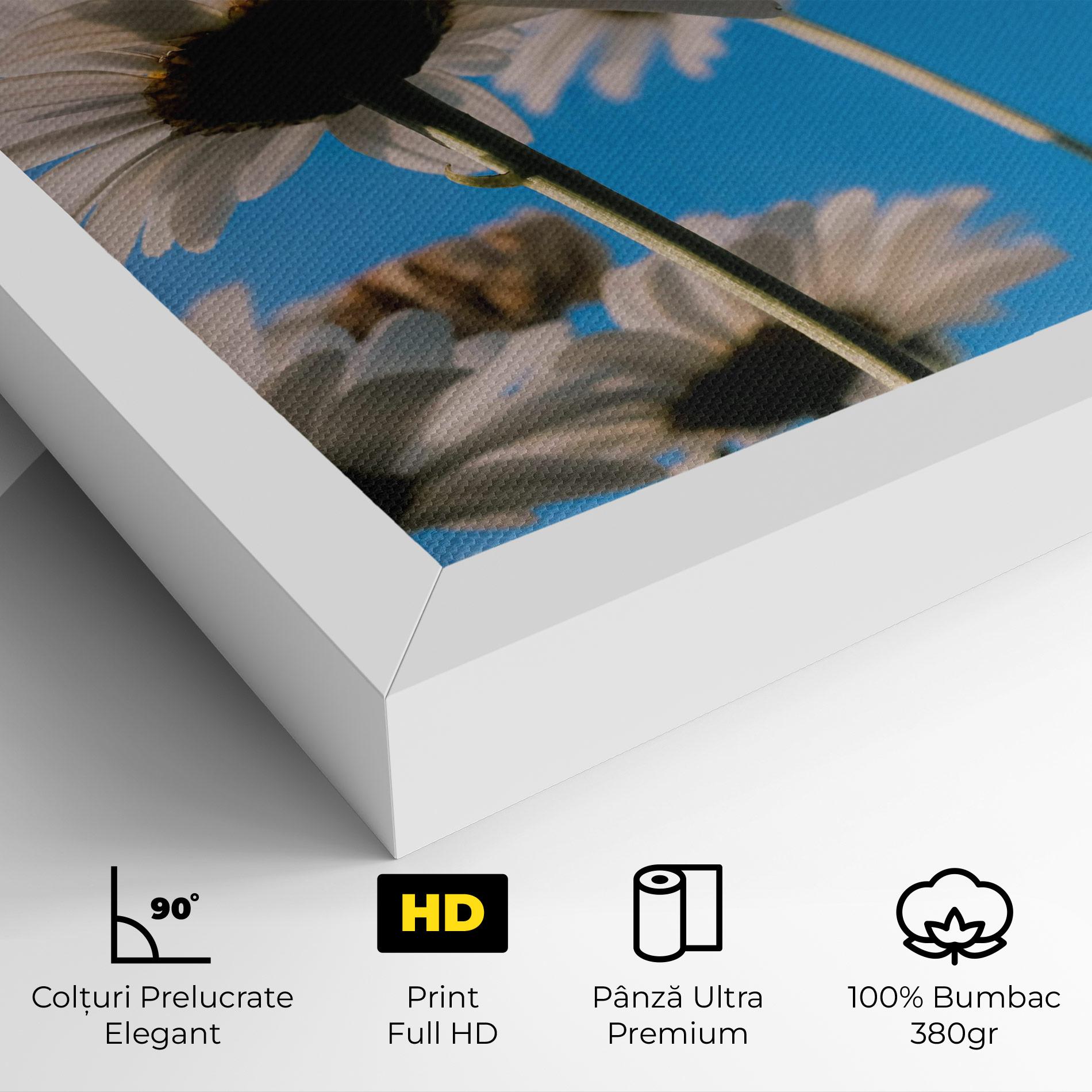 Tablou Canvas Blue Sky Daisy mockup 4