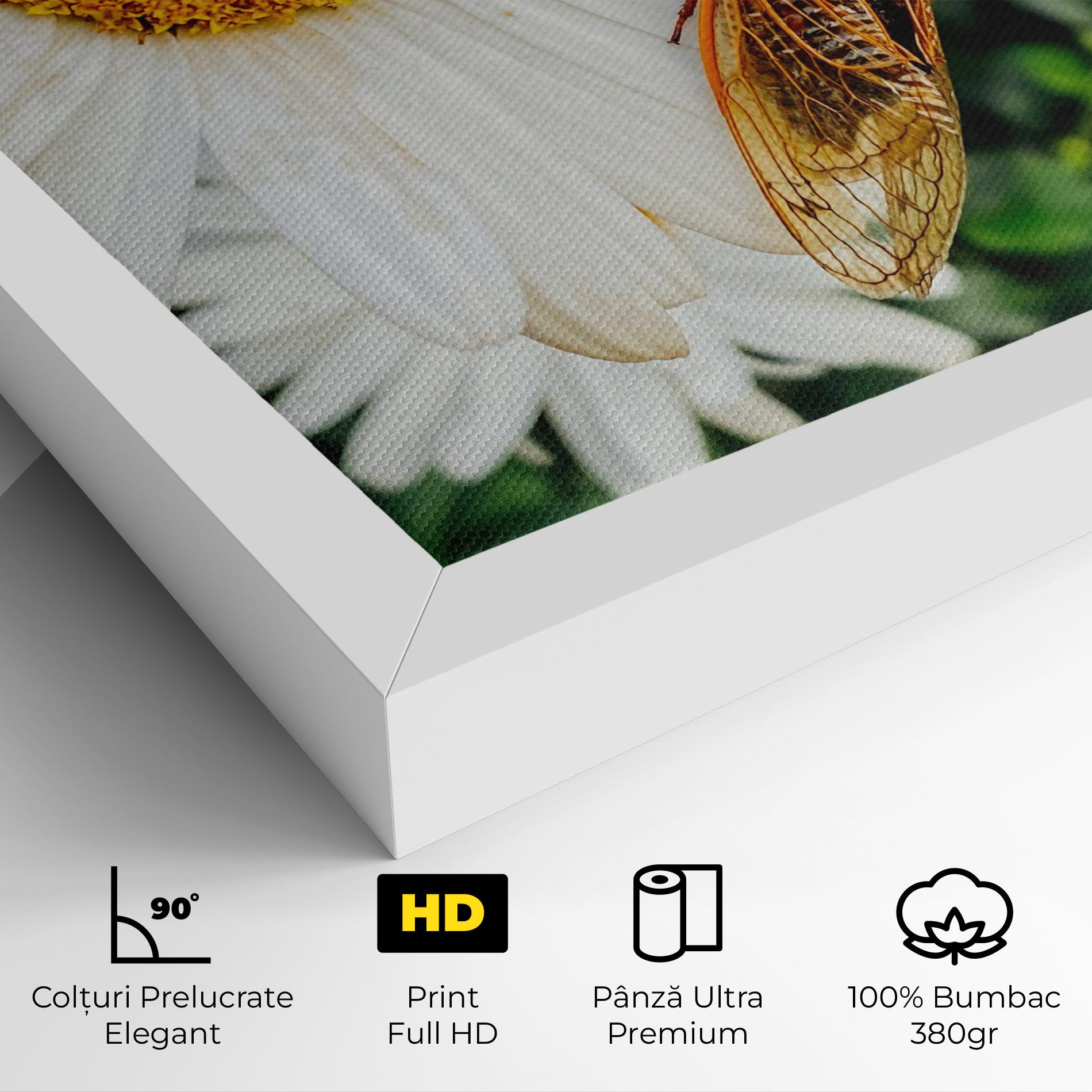Bug On The Daisy mockup 4