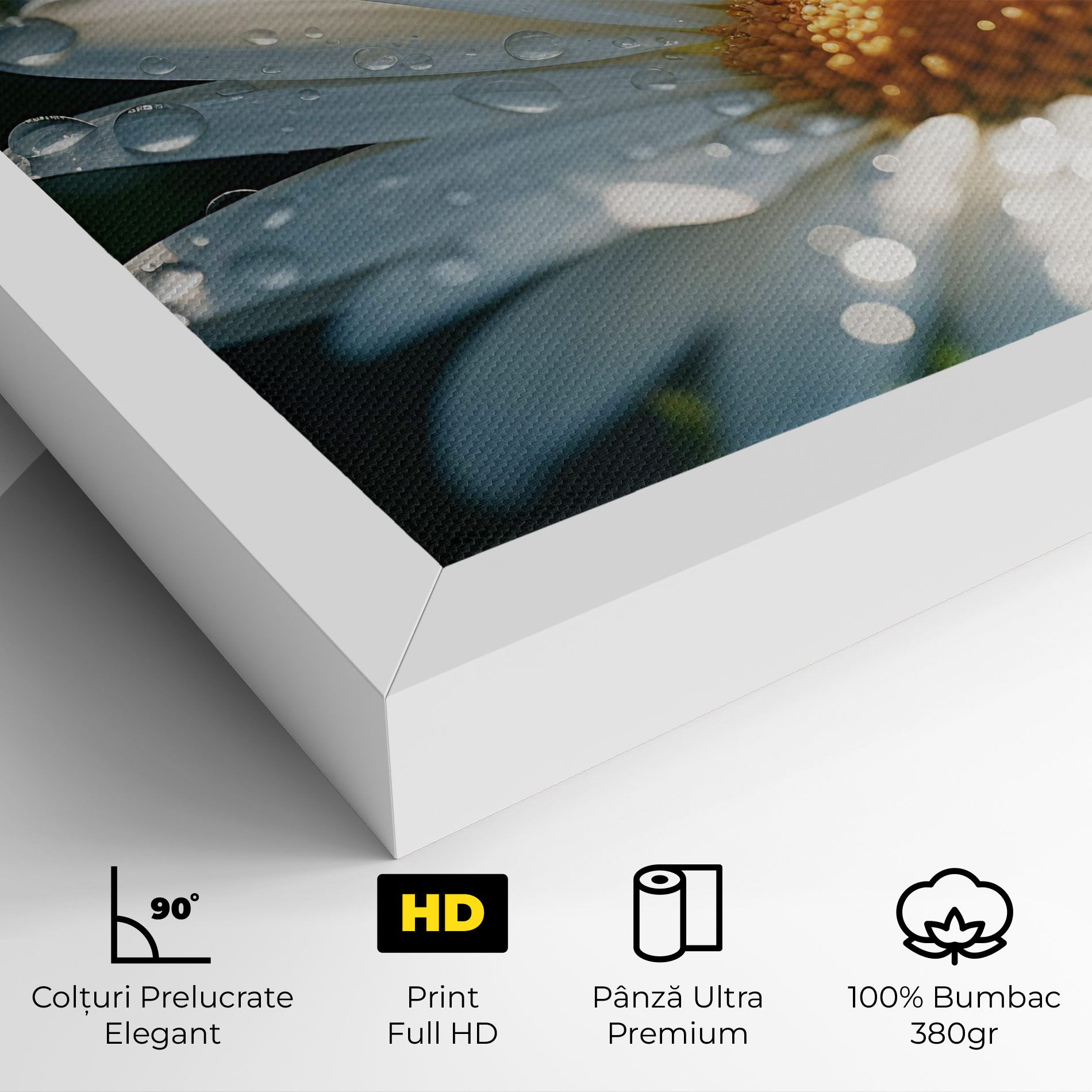 Daisy After Rain Close Up mockup 4