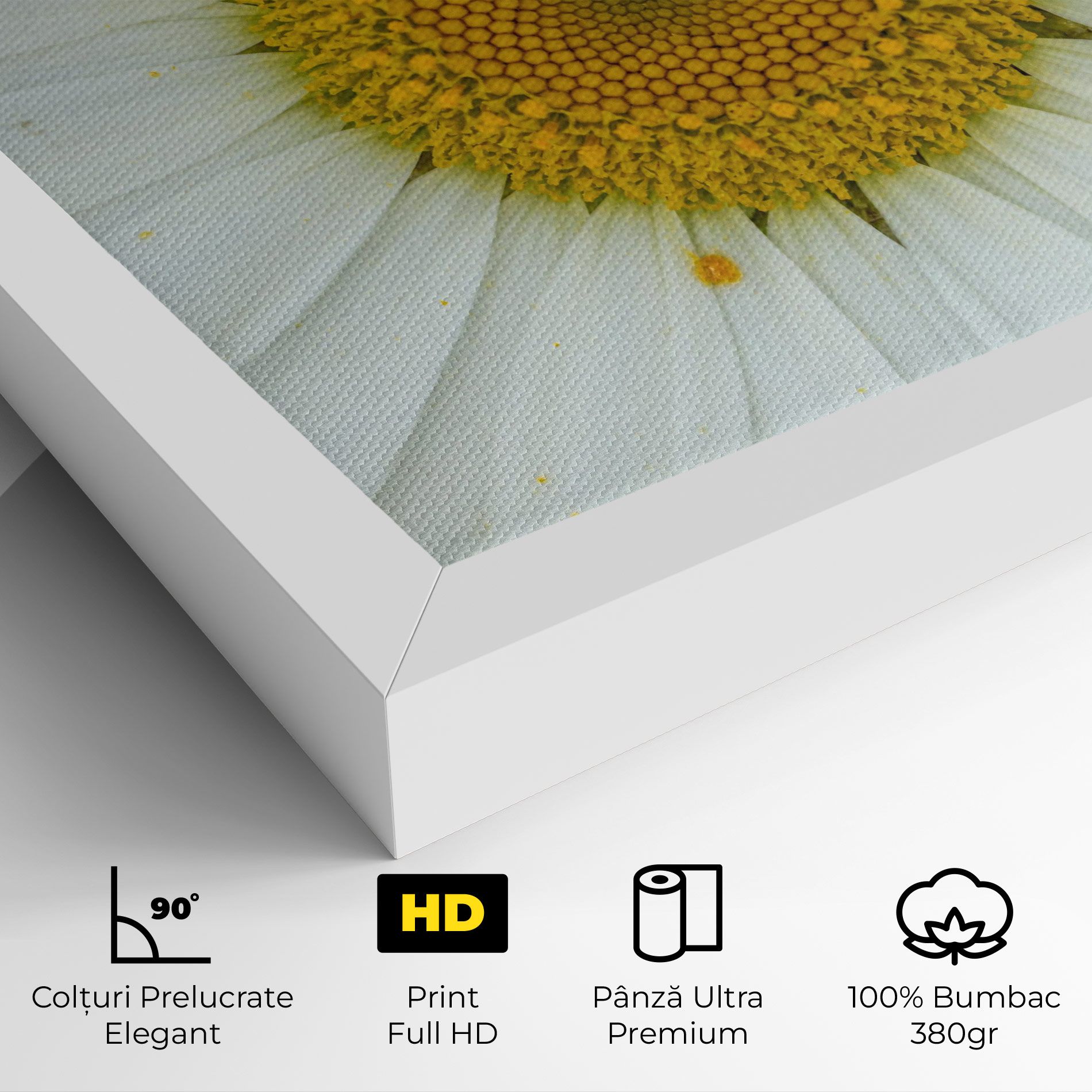 Daisy Close Up mockup 4