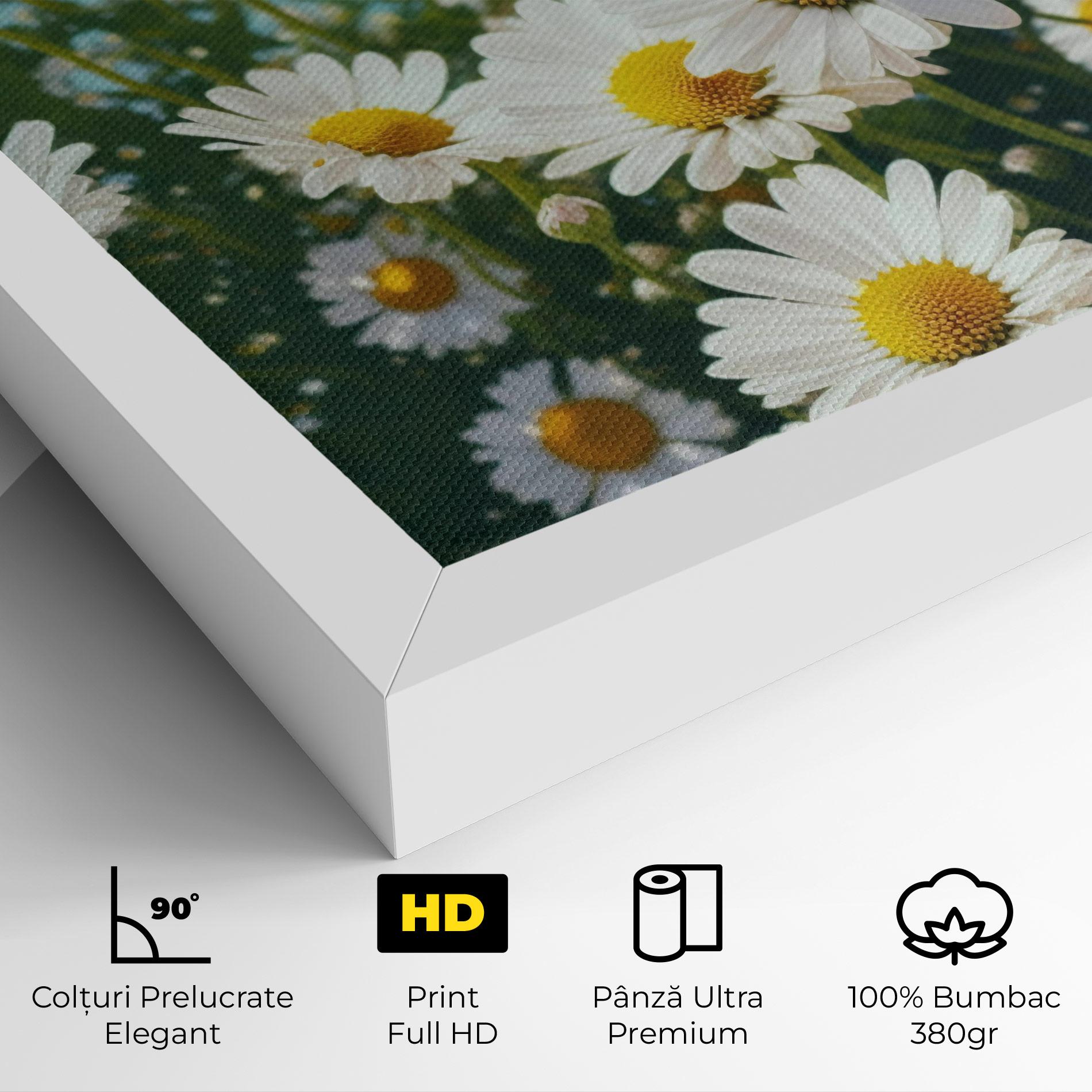Tablou Canvas Daisy Field View mockup 4