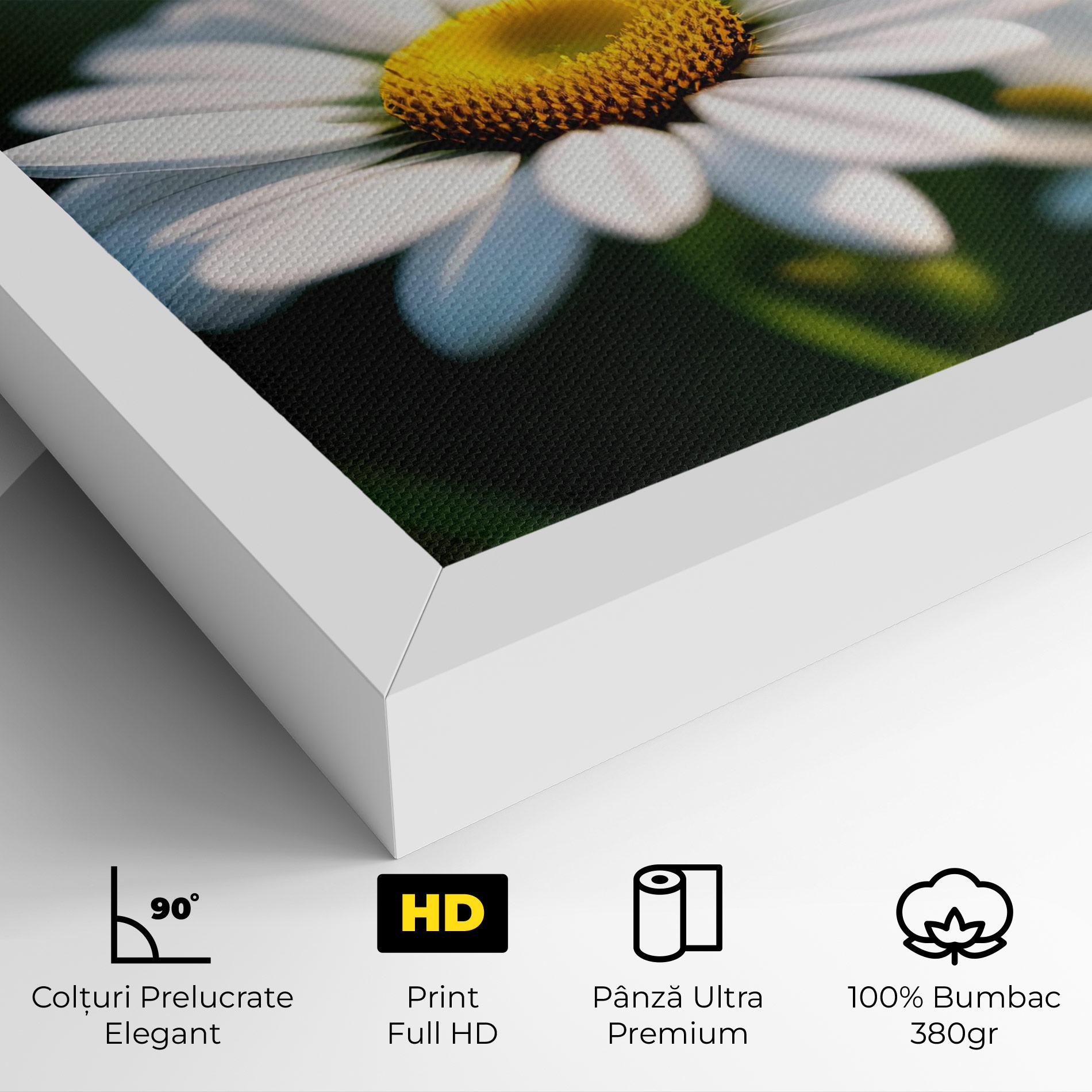 Tablou Canvas Daisy In The Sun mockup 4