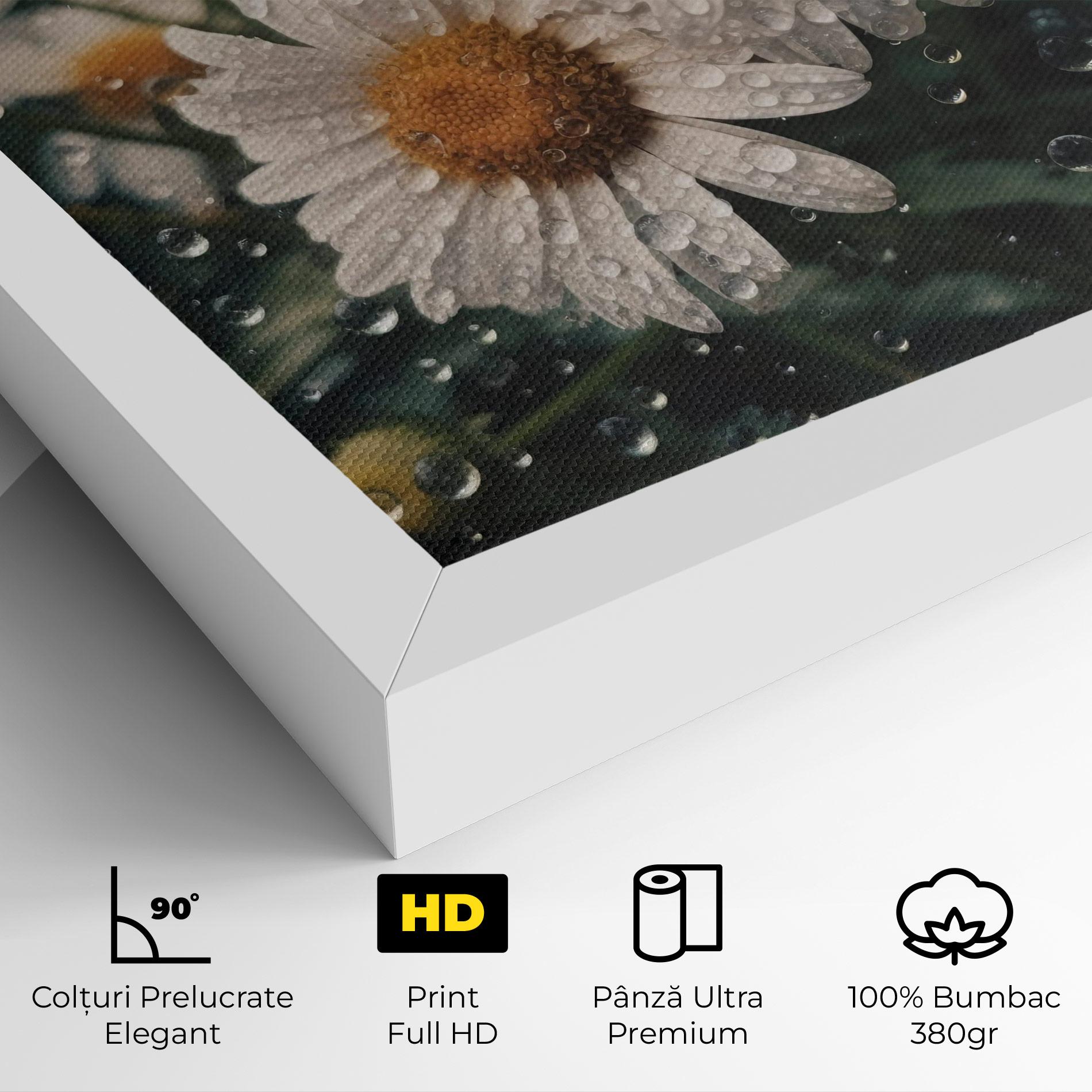 Tablou Canvas Daisy View After Rain mockup 4