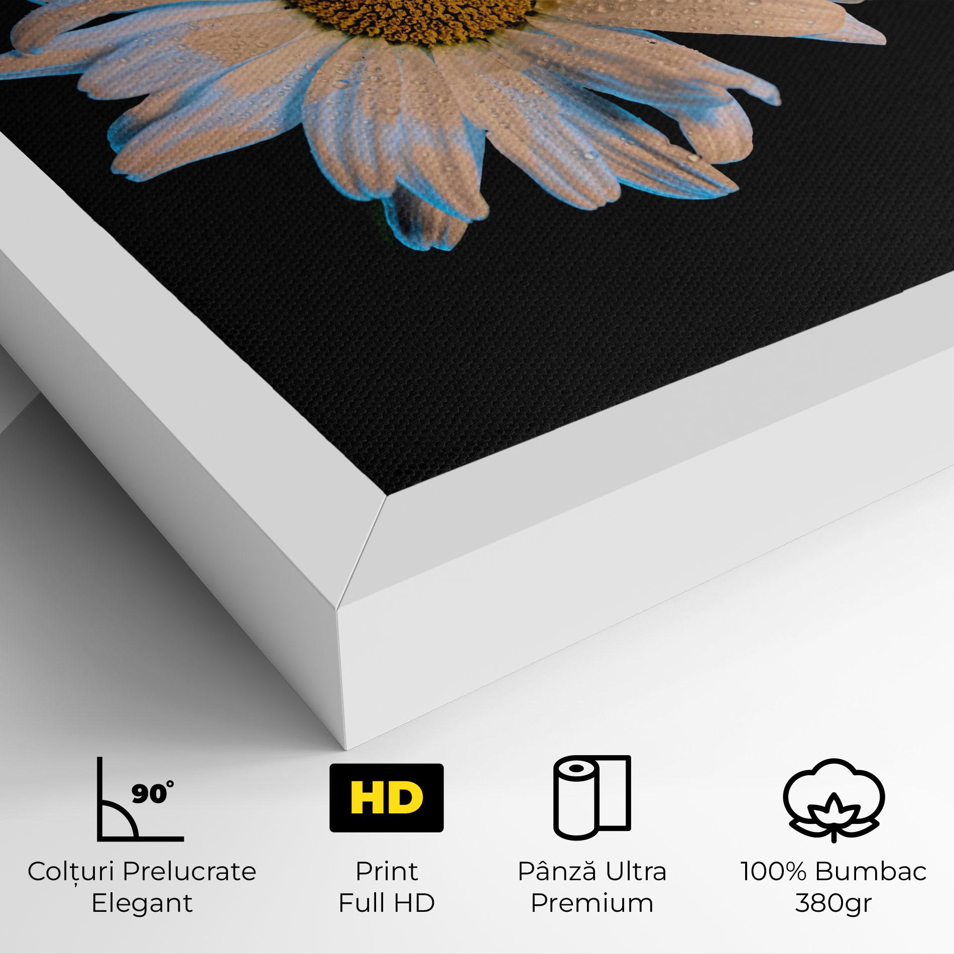 Tablou Canvas Daisy mockup 4