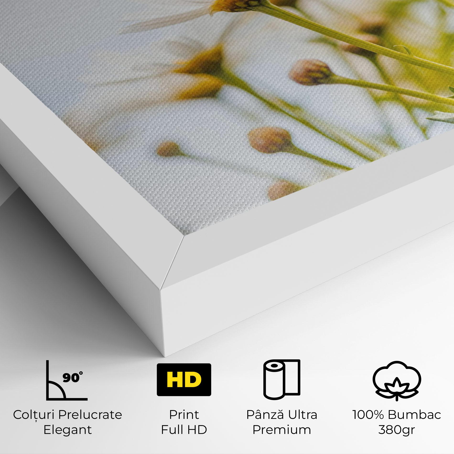 Tablou Canvas Dreamy Daisy mockup 4