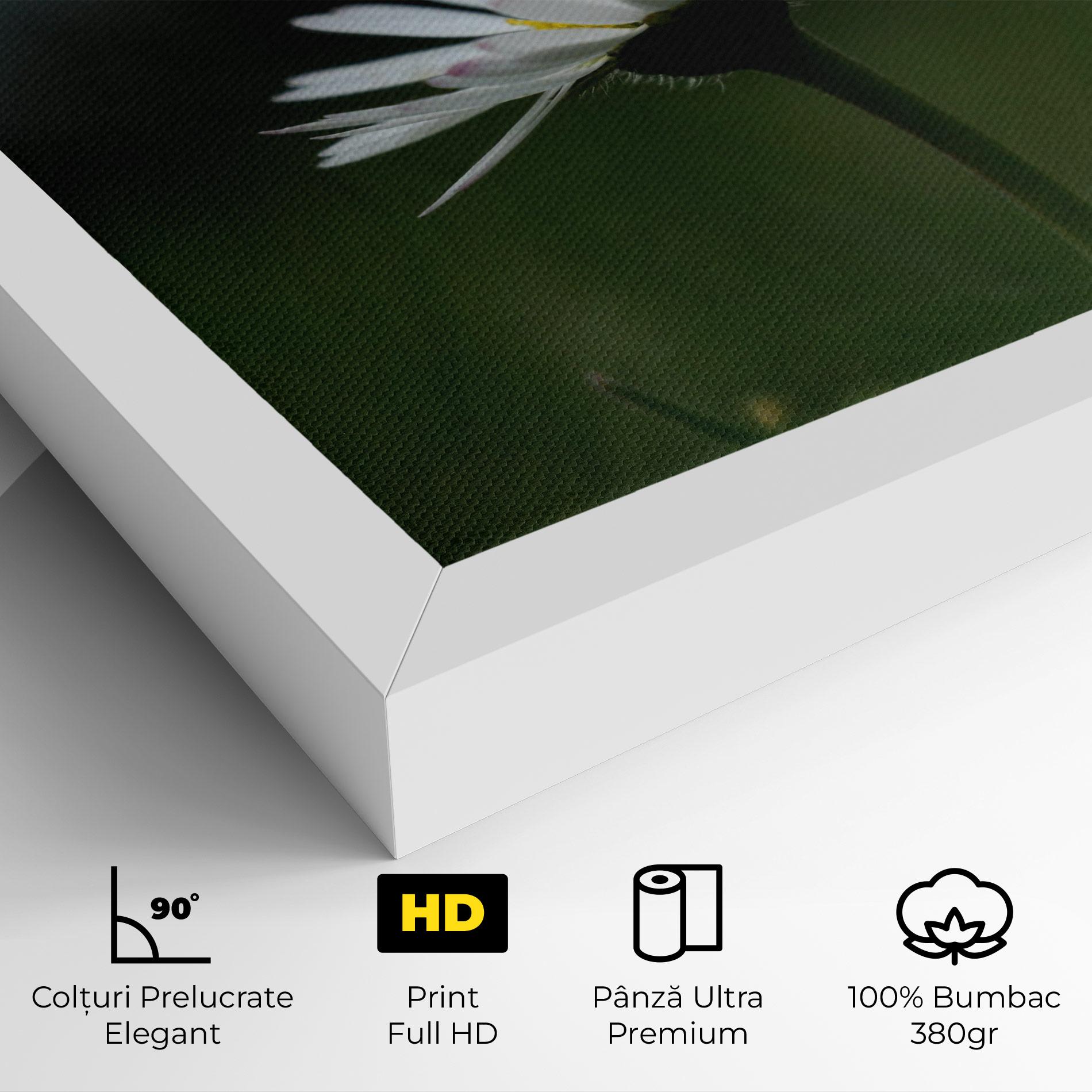 Tablou Canvas Garden Daisy mockup 4