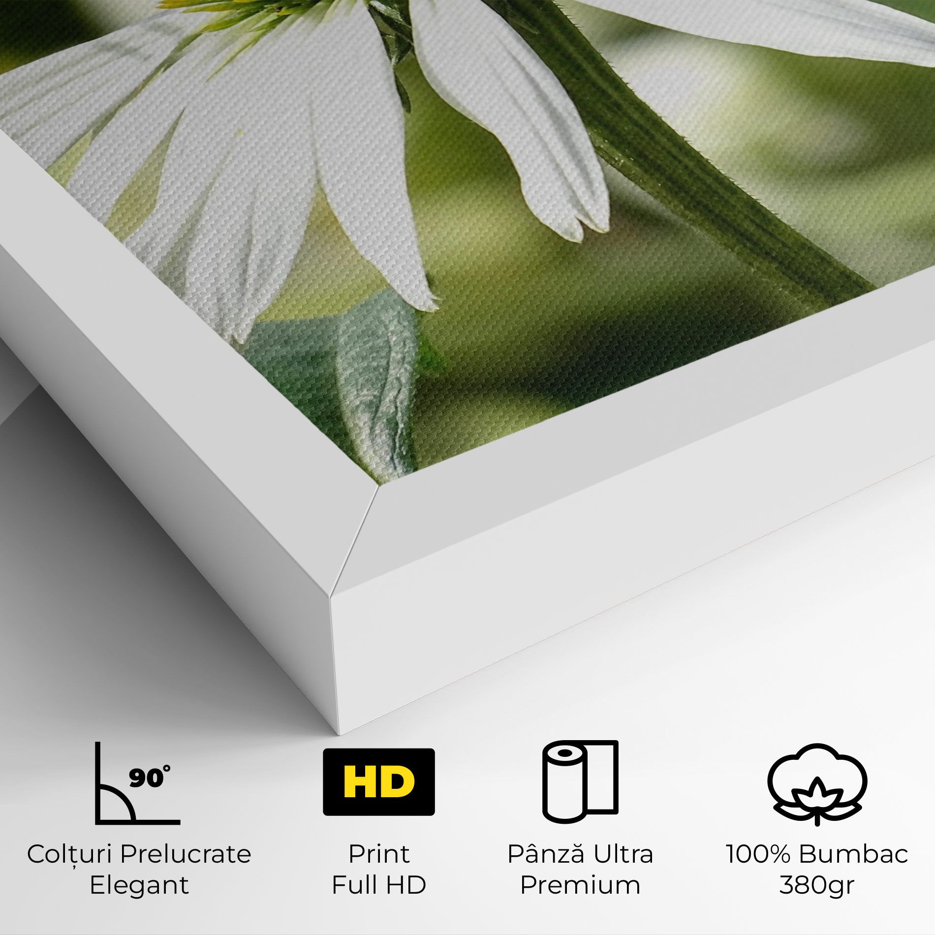 Green Daisy mockup 4