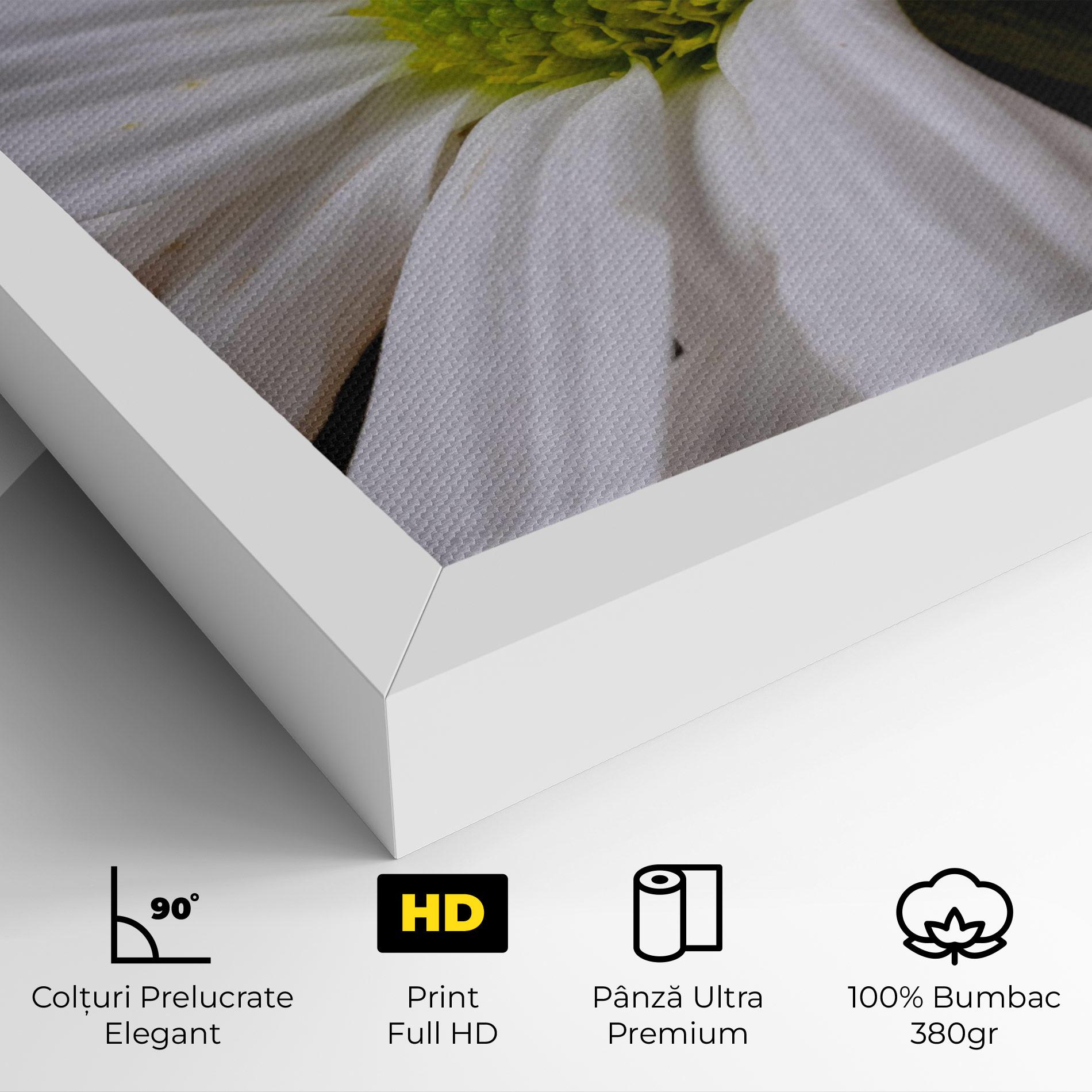 Tablou Canvas Green Middle Daisy mockup 4