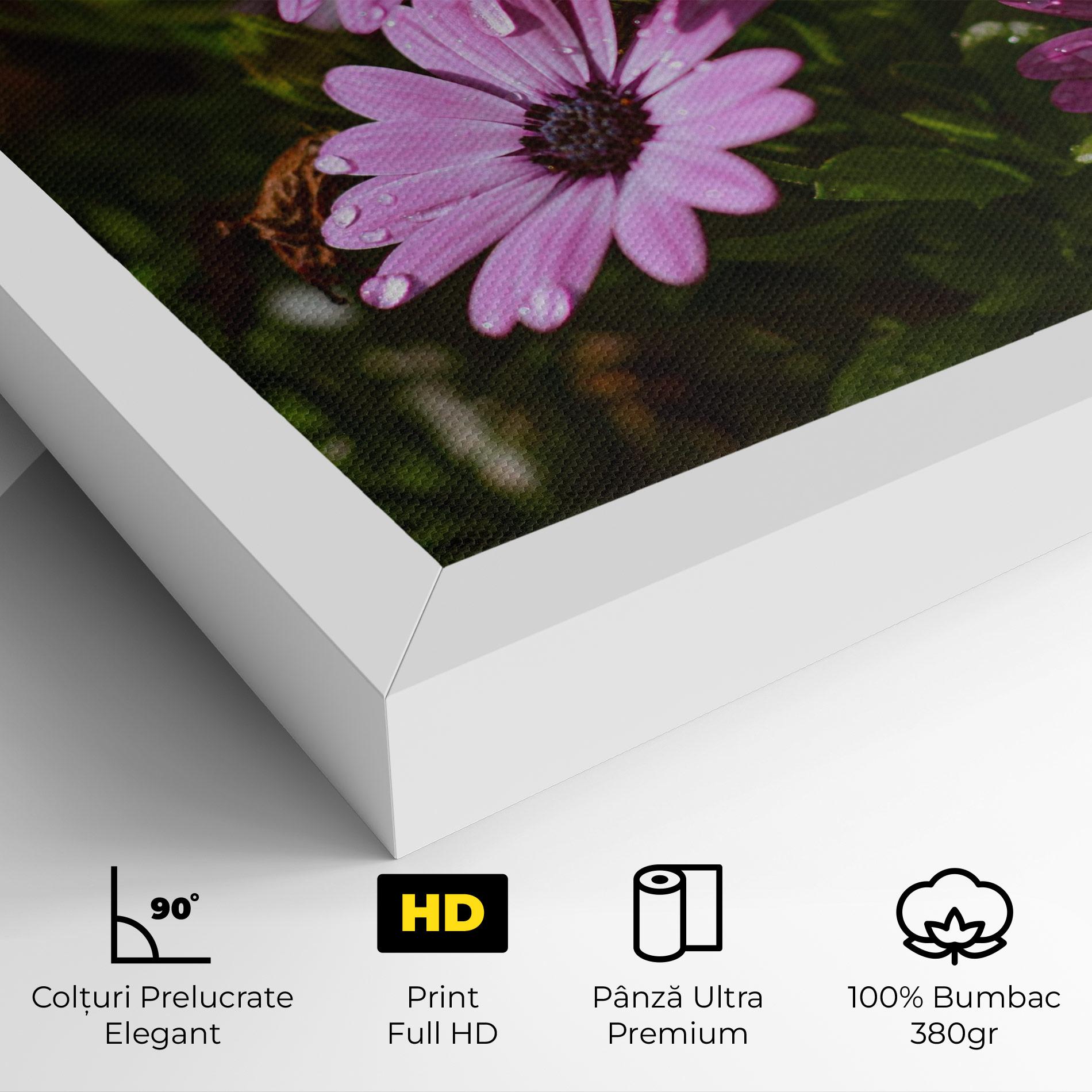 Tablou Canvas Purple Daisy mockup 4