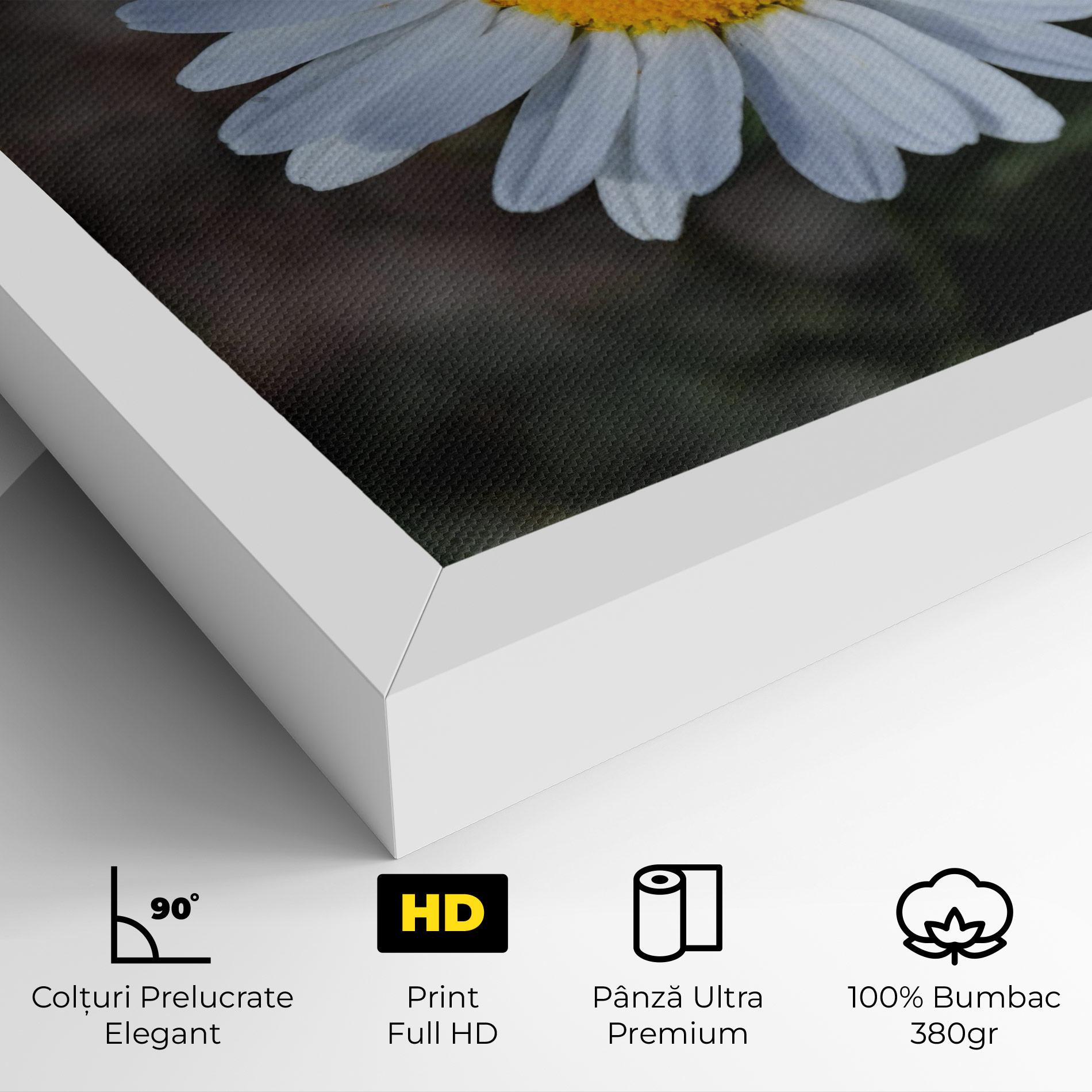 Tablou Canvas Strong Yellow Daisy mockup 4