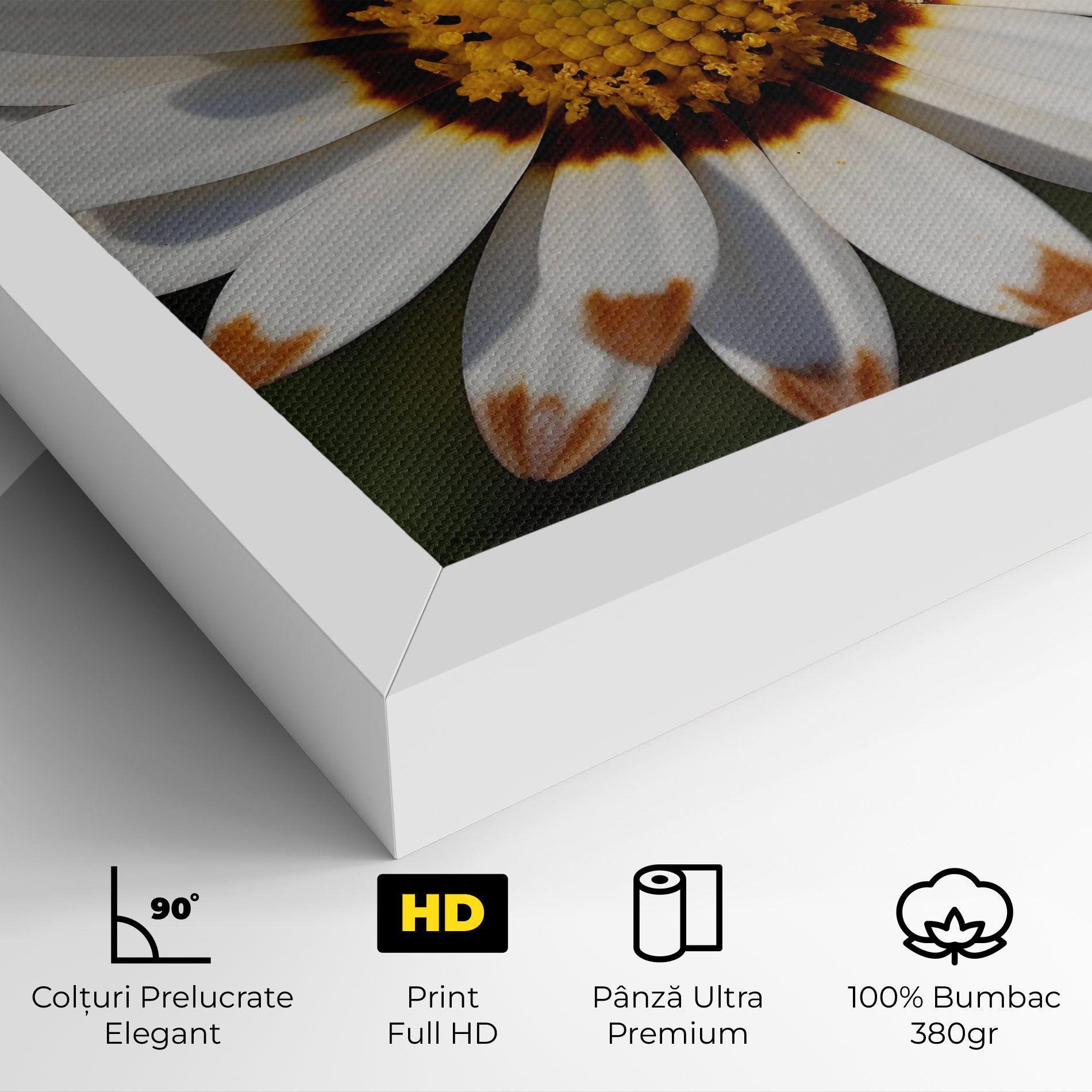 White Brown Daisy mockup 4