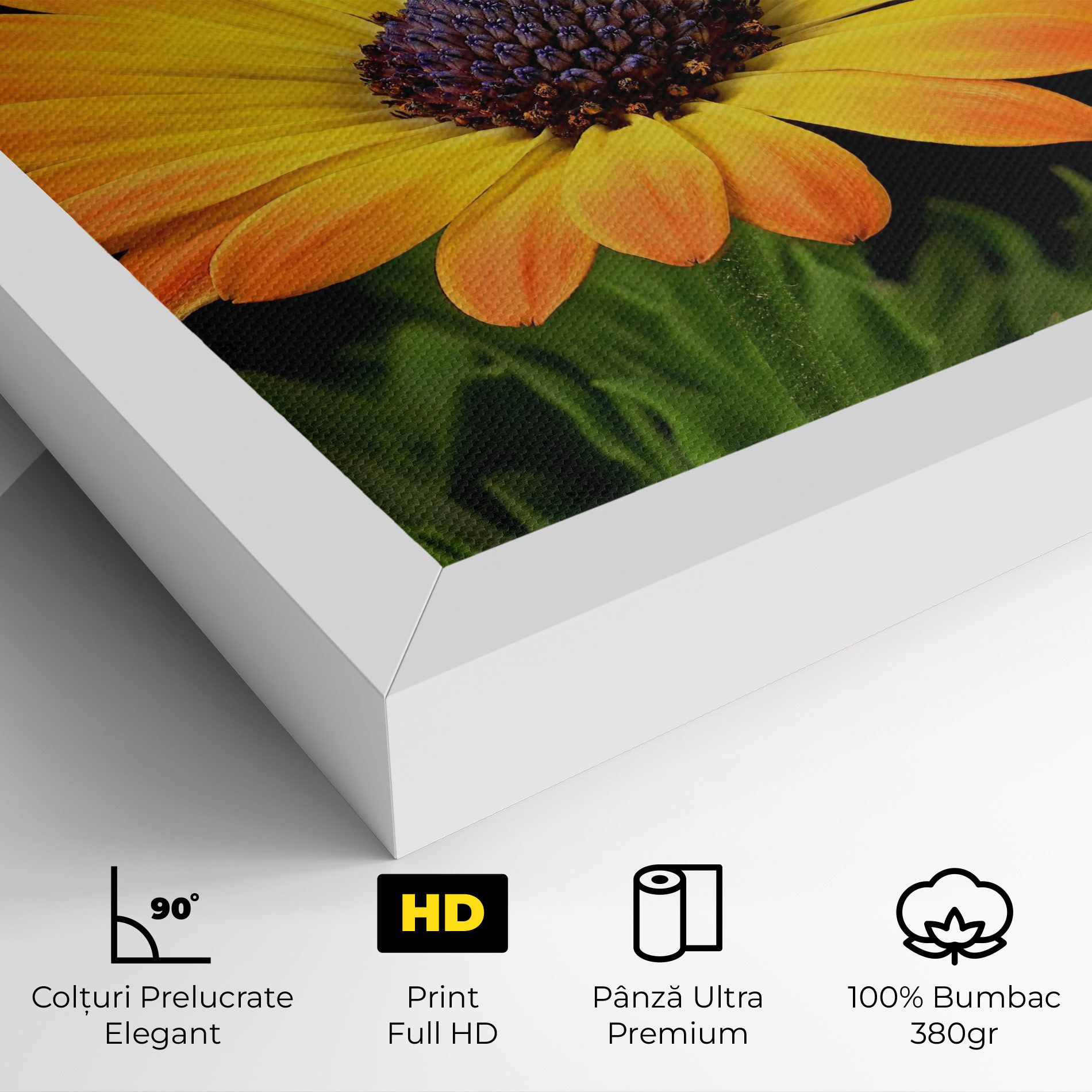 Yellow Daisy mockup 4
