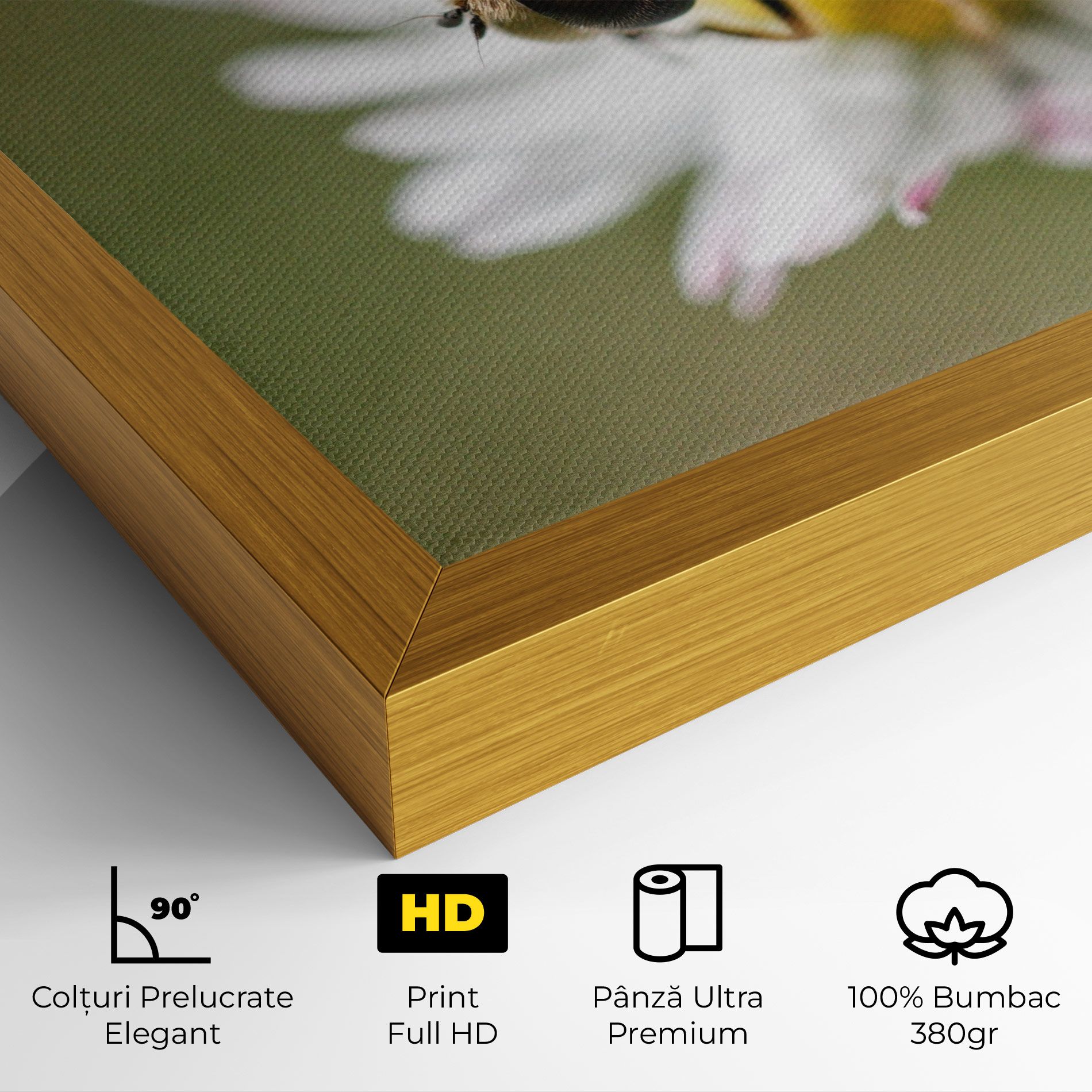 Bee On Small Daisy mockup 4