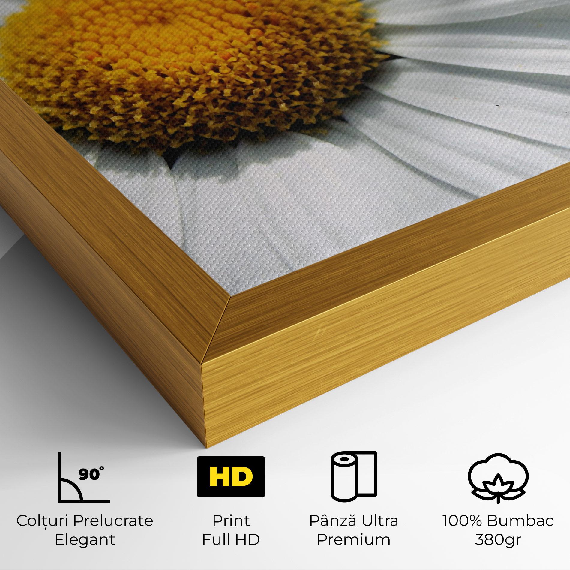 Tablou Canvas Big Daisies mockup 4