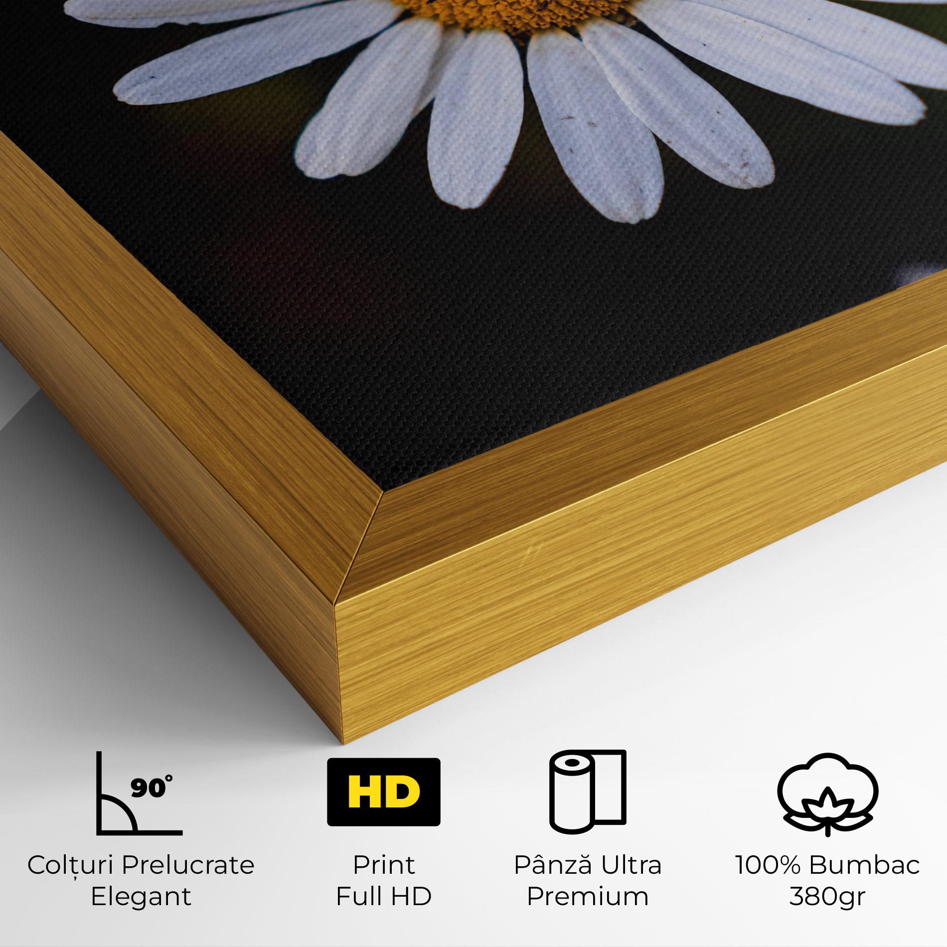 Tablou Canvas Big Yellow Center Daisy mockup 4