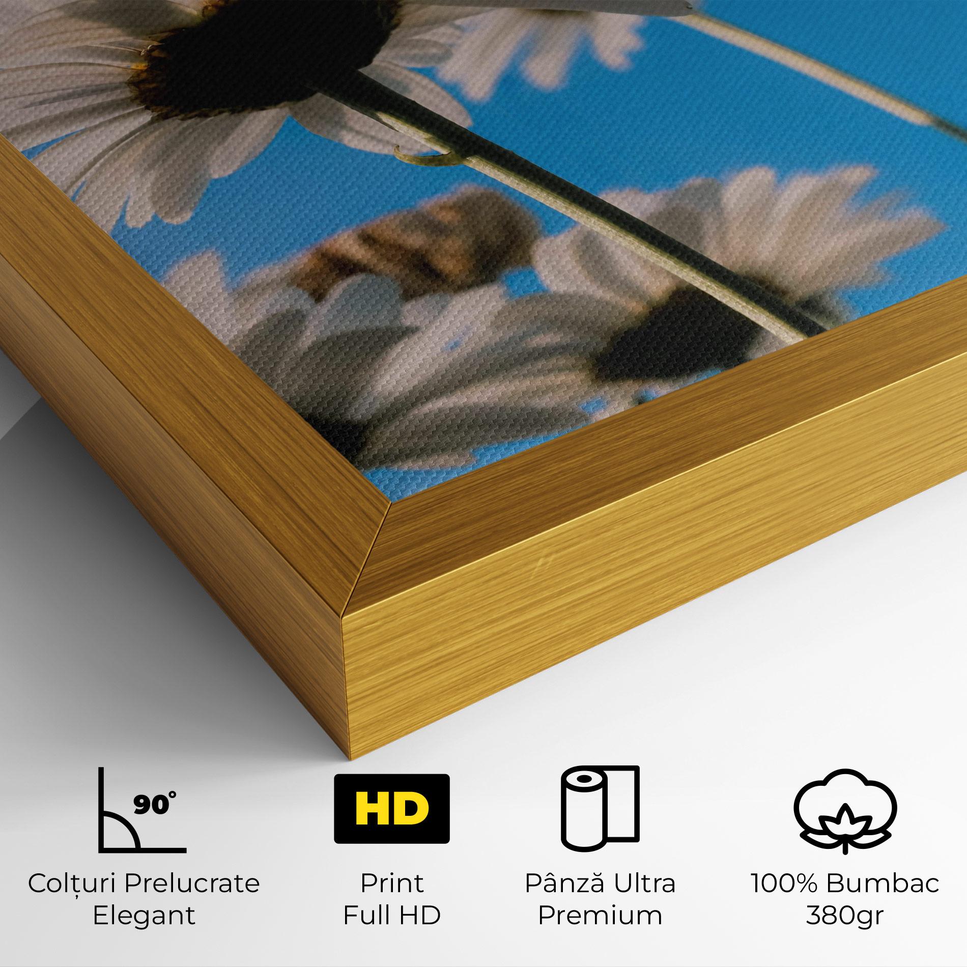 Tablou Canvas Blue Sky Daisy mockup 4