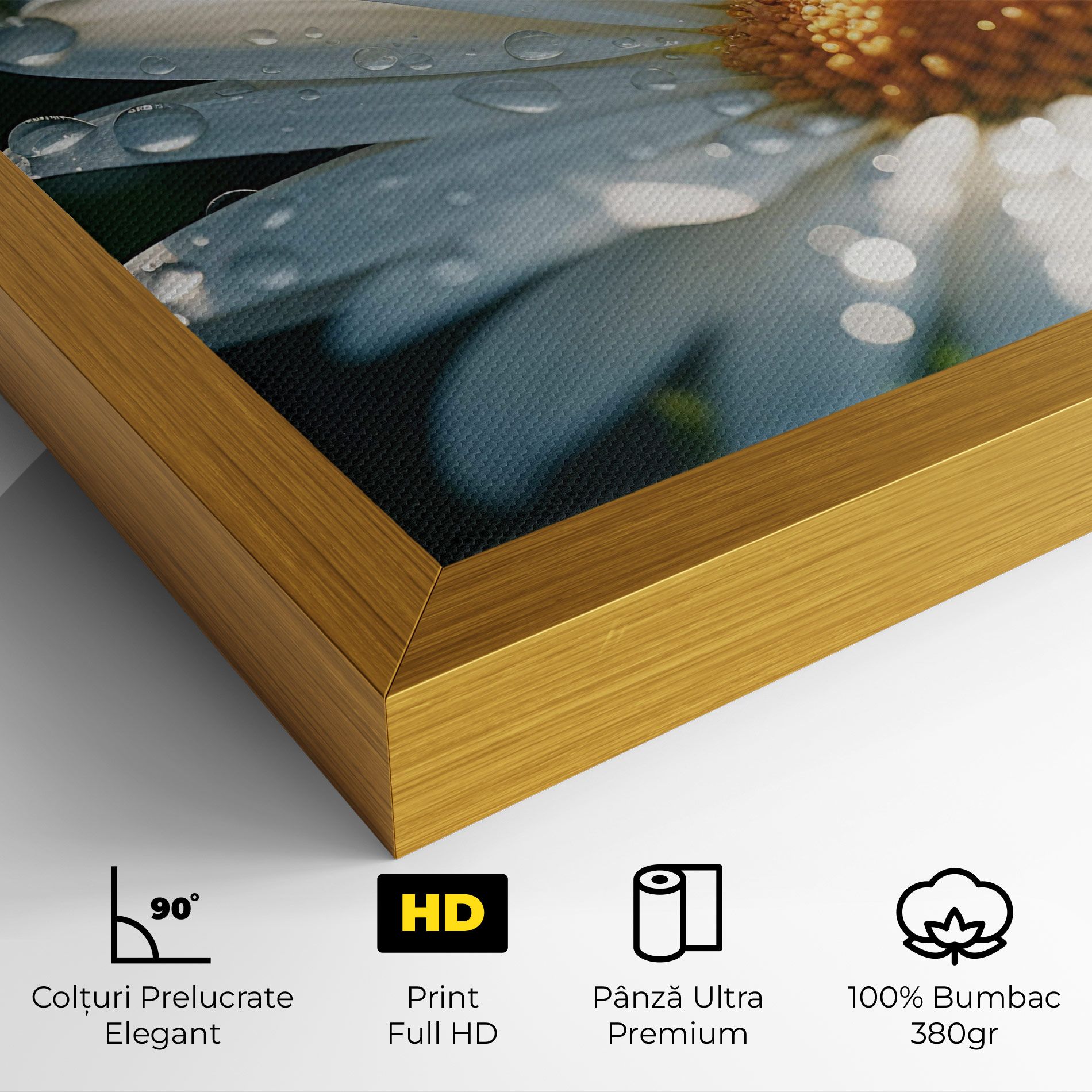 Daisy After Rain Close Up mockup 4