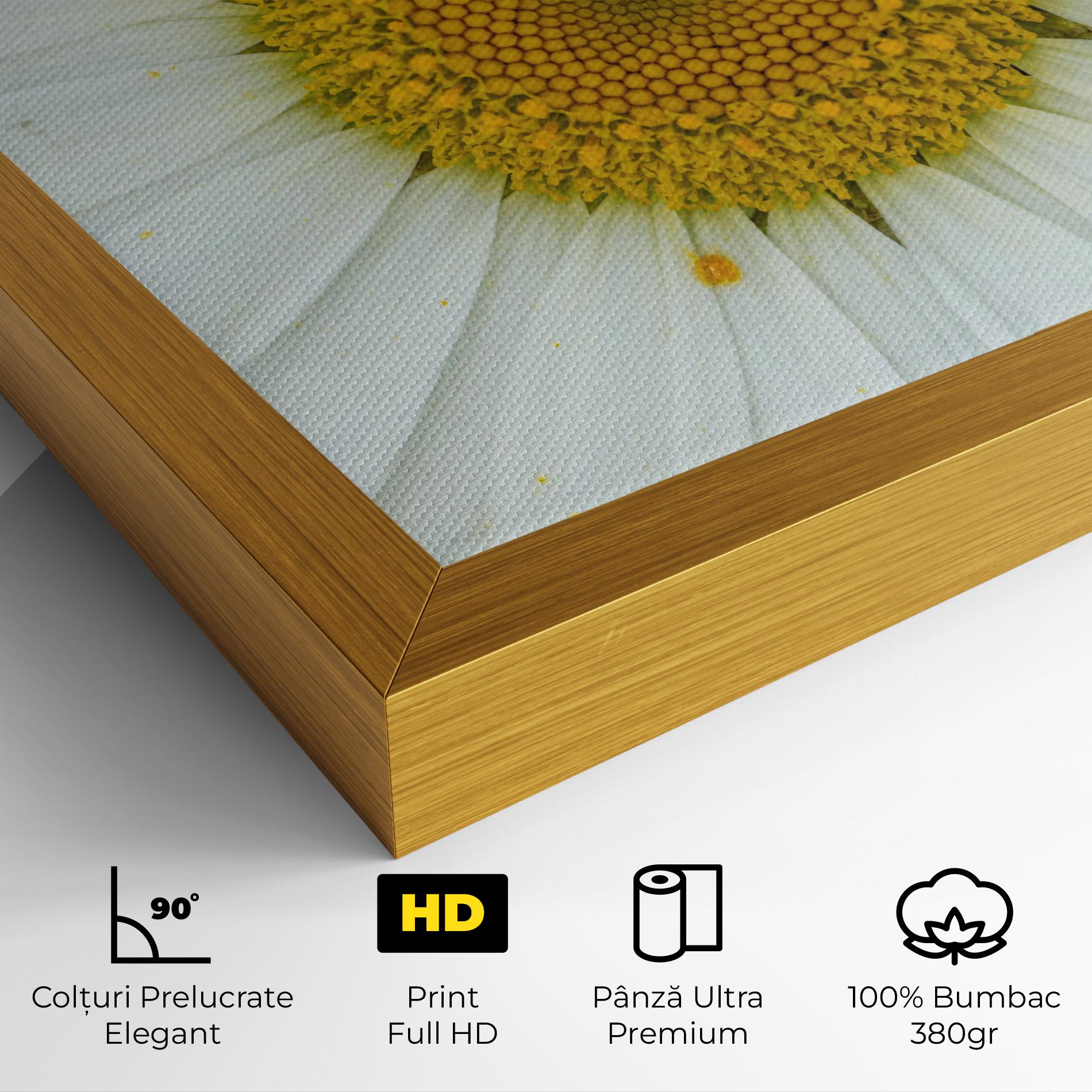 Tablou Canvas Daisy Close Up mockup 4