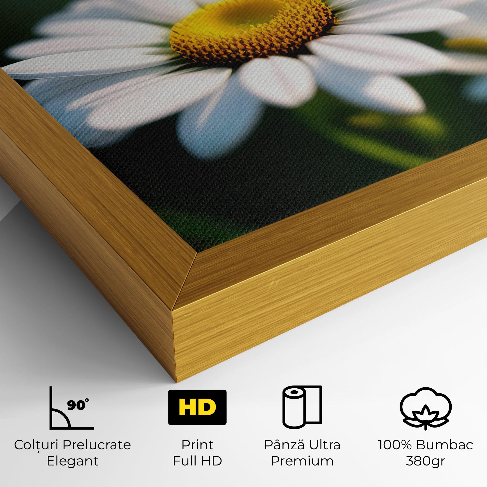 Tablou Canvas Daisy In The Sun mockup 4