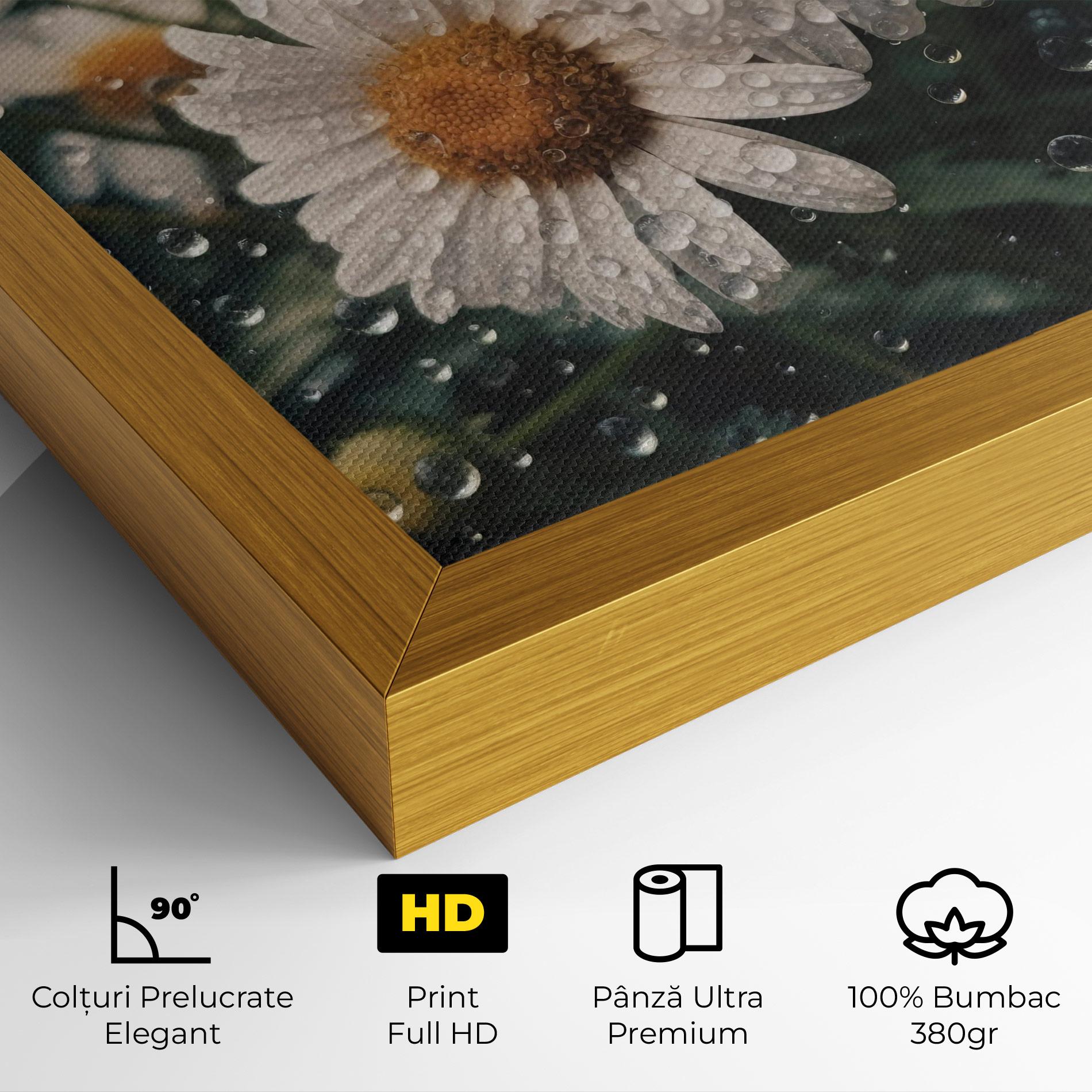 Tablou Canvas Daisy View After Rain mockup 4