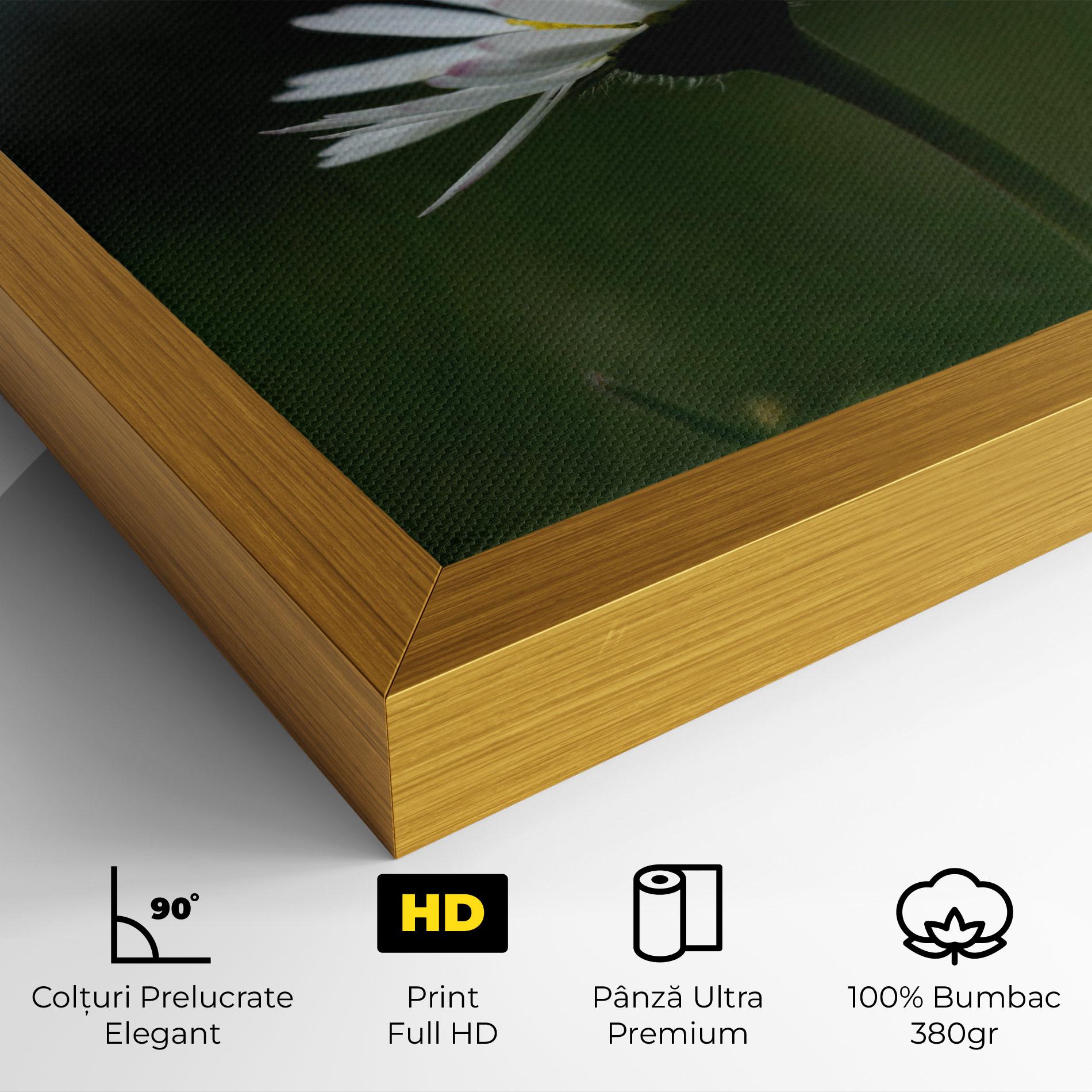 Tablou Canvas Garden Daisy mockup 4