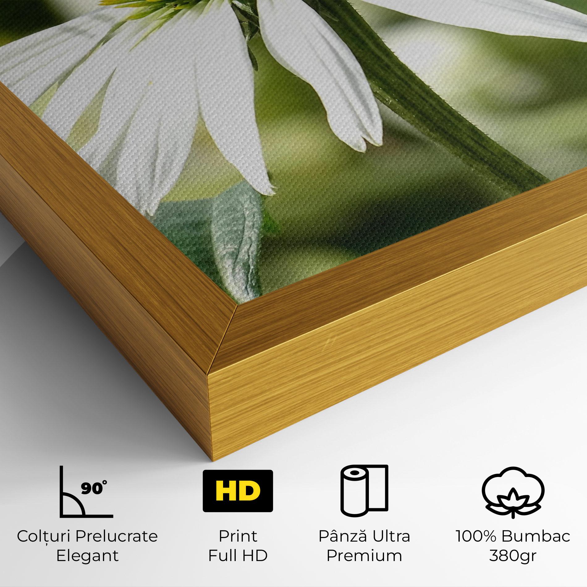 Tablou Canvas Green Daisy mockup 4
