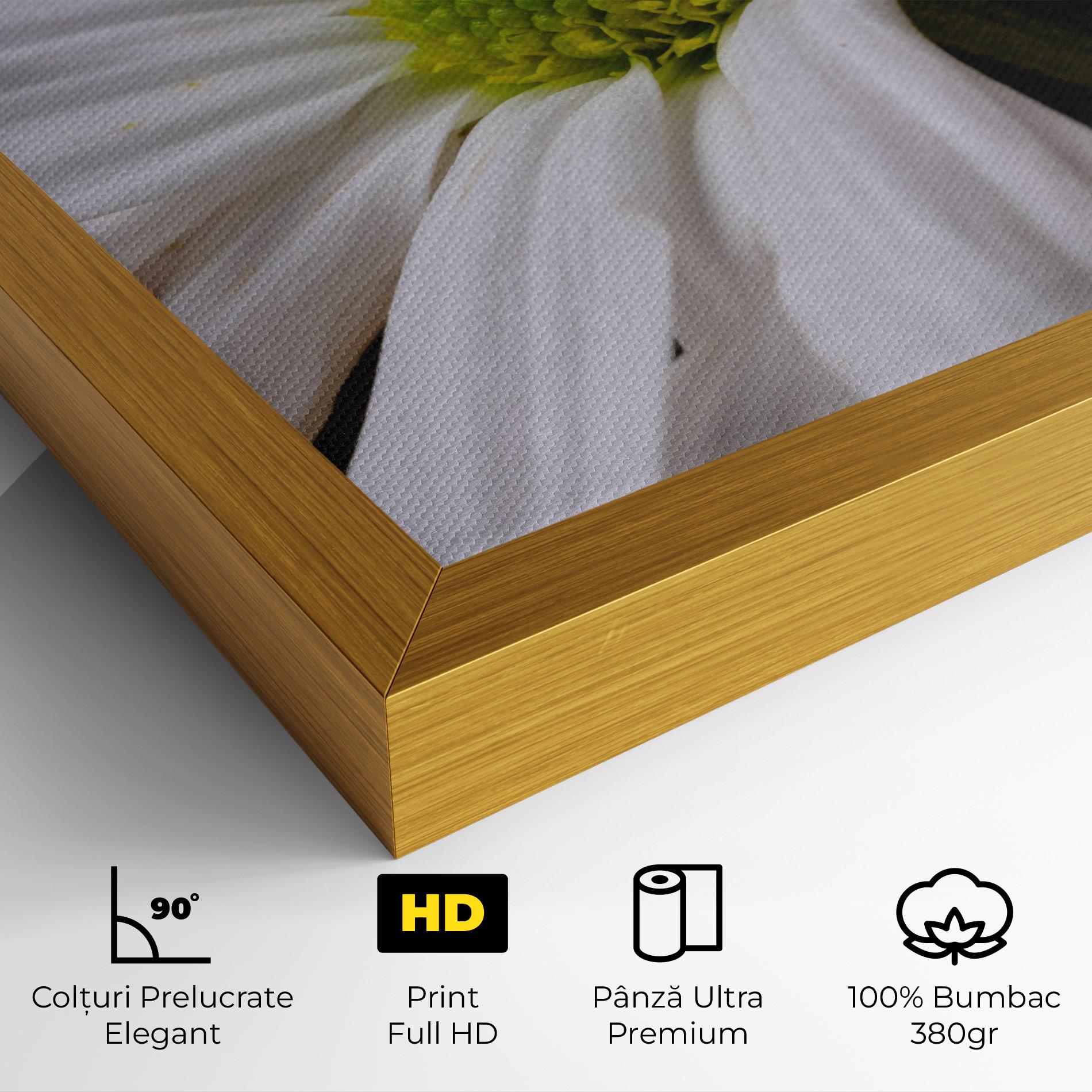 Tablou Canvas Green Middle Daisy mockup 4