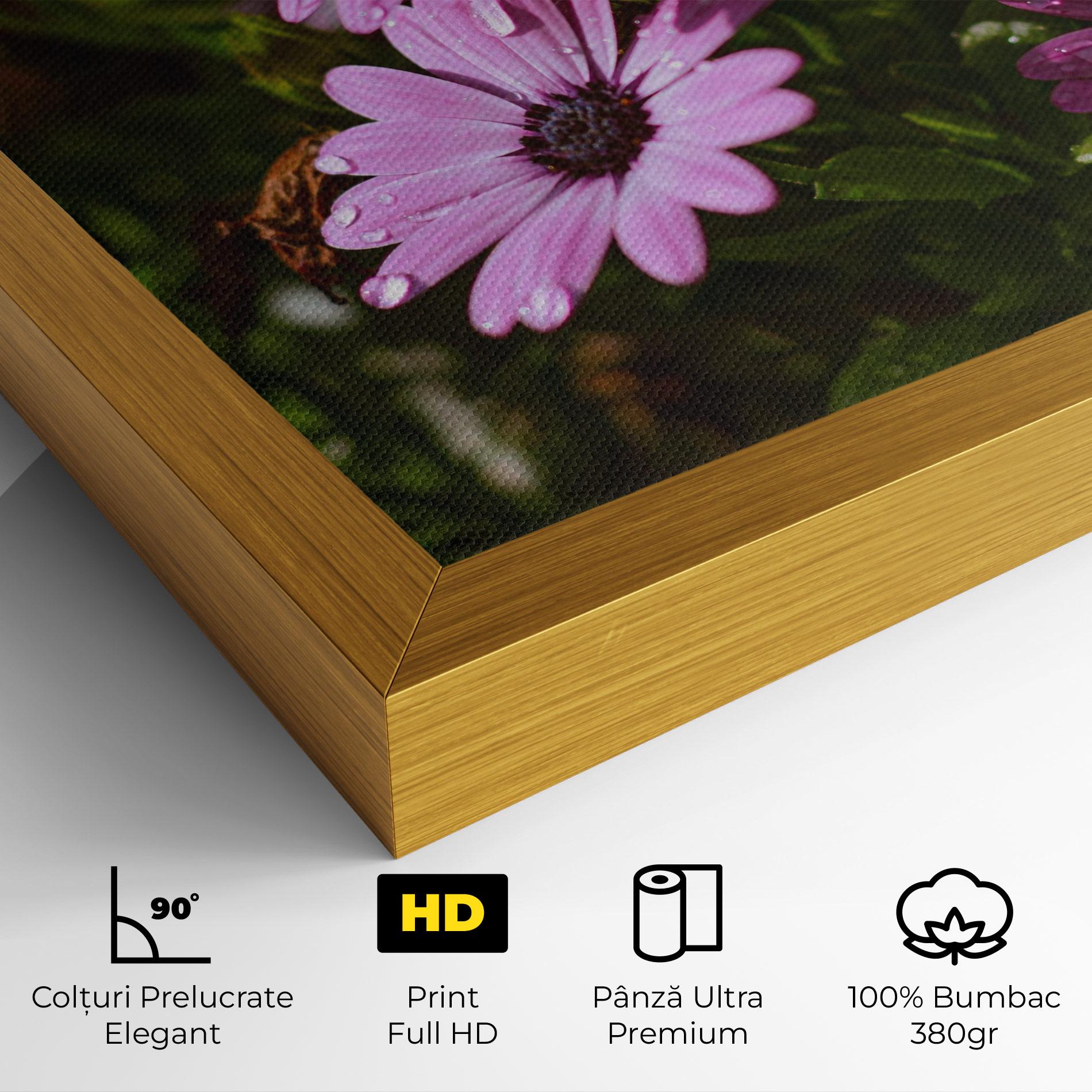 Tablou Canvas Purple Daisy mockup 4