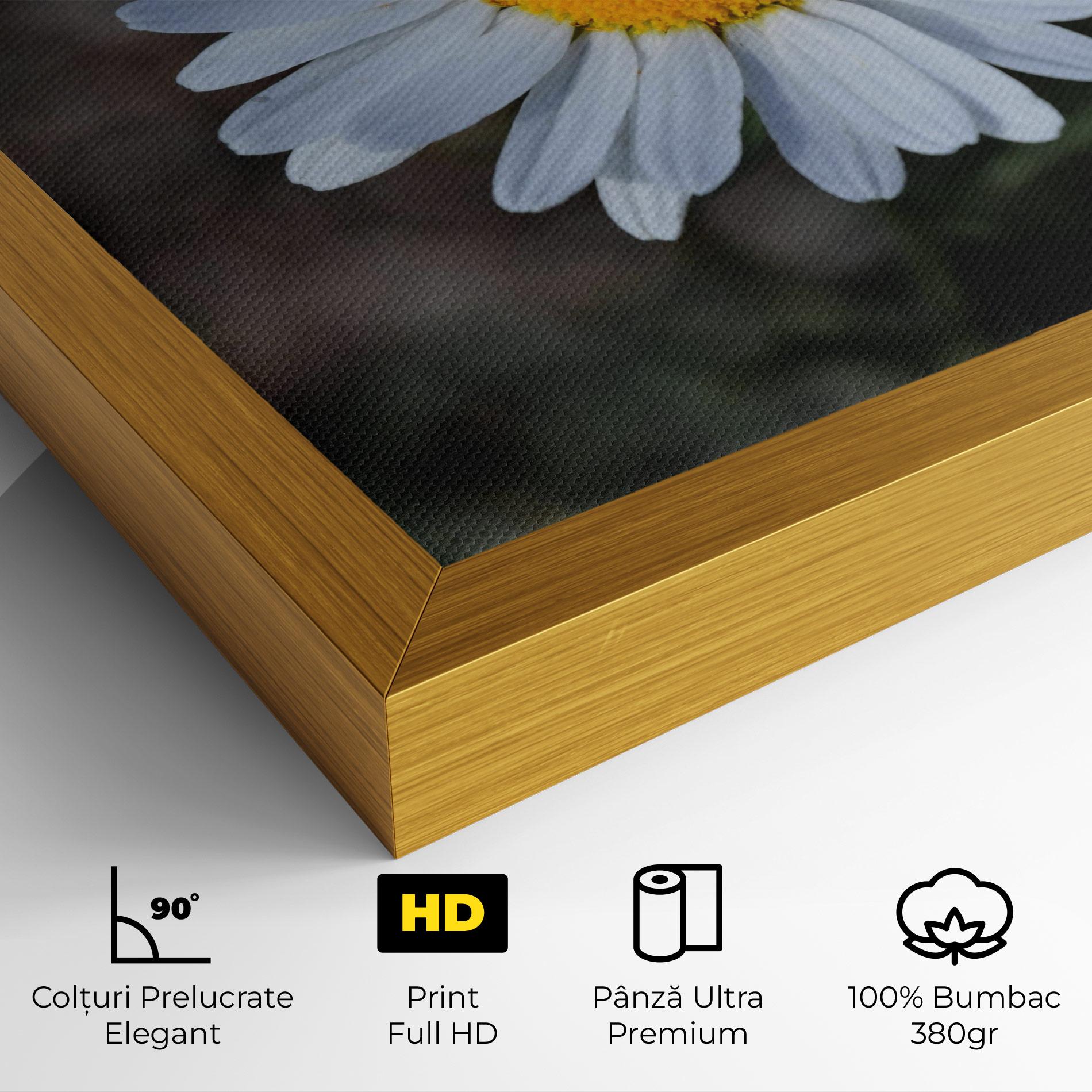 Tablou Canvas Strong Yellow Daisy mockup 4
