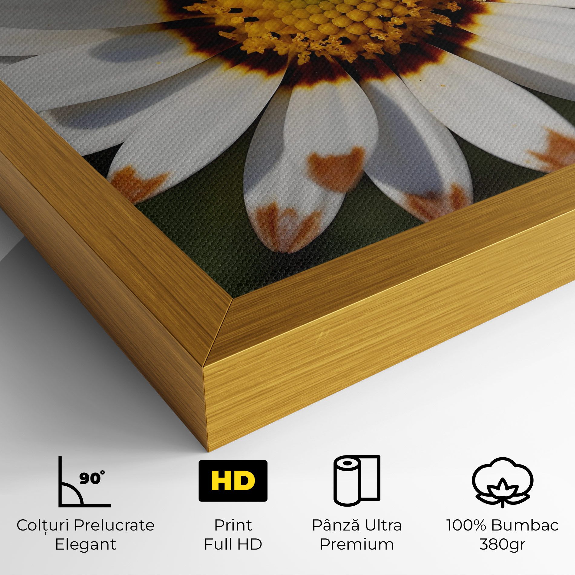 White Brown Daisy mockup 4