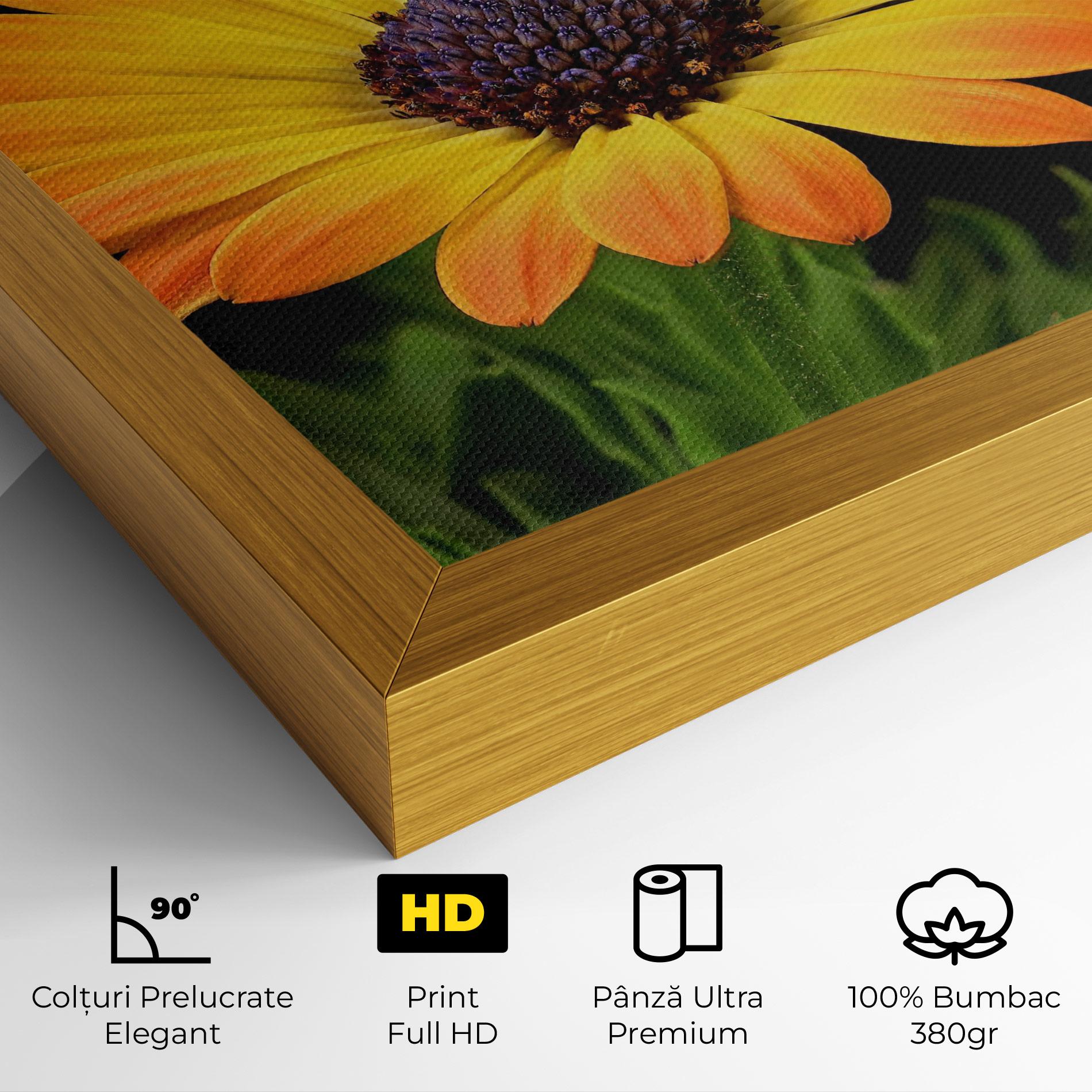 Tablou Canvas Yellow Daisy mockup 4