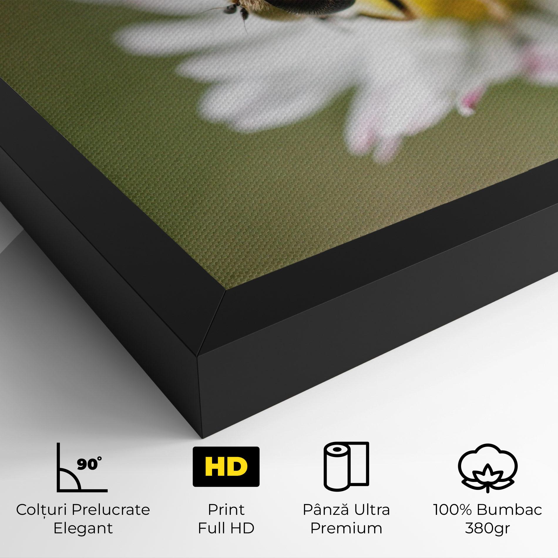 Tablou Canvas Bee On Small Daisy mockup 4