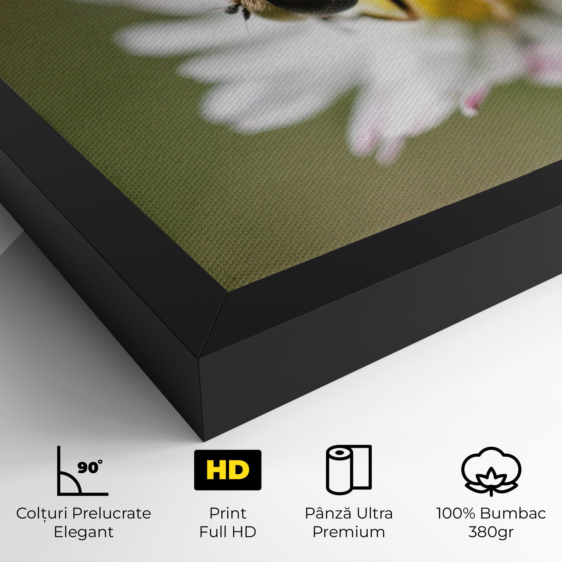 Bee On Small Daisy mockup 4